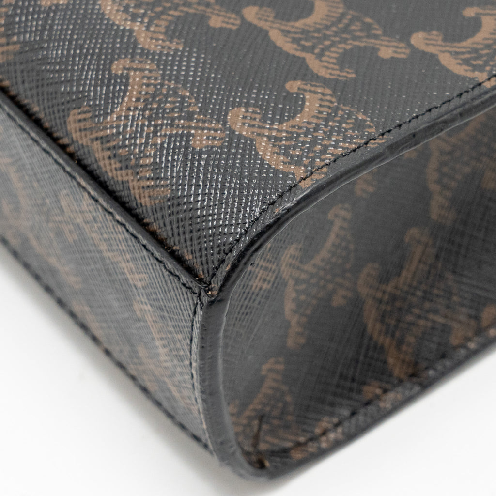 celine-mini-vertical-cabas-triomphe-canvas-ghw-copy
