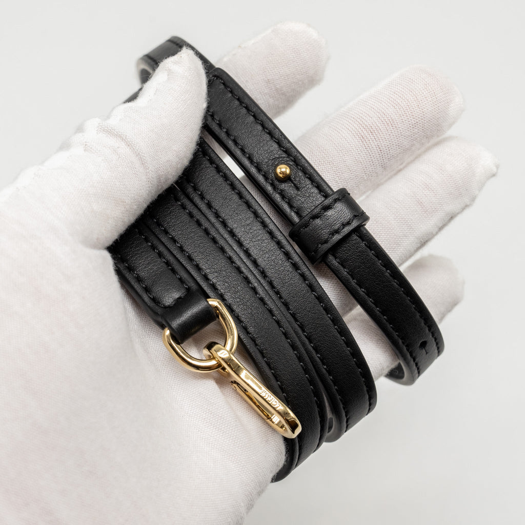 loewe-bag