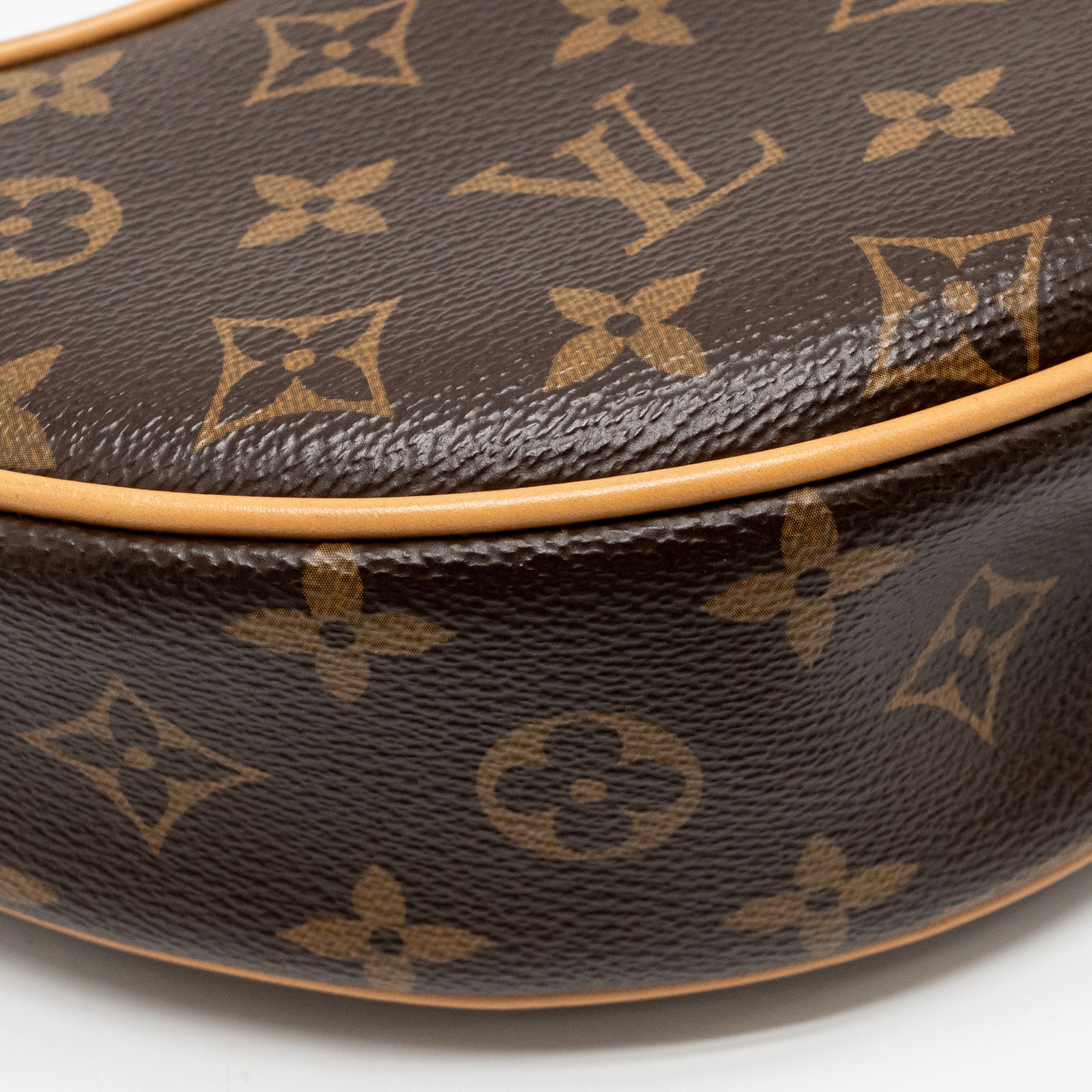 louis-vuitton-loop-monogram-canvas-ghw