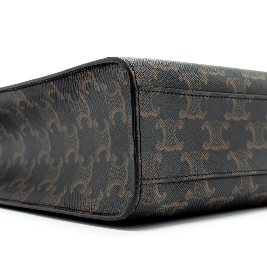 celine-vertical-cabas-triomphe-canvas-ghw-3