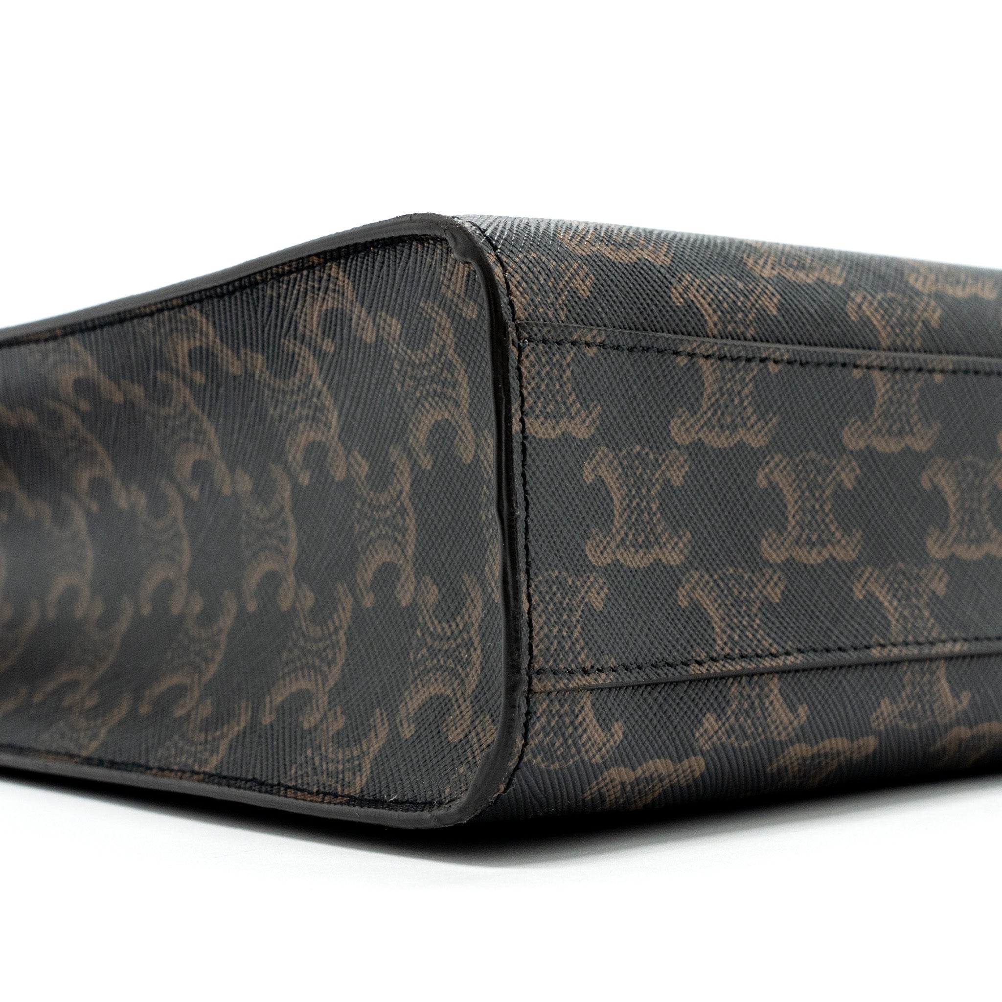celine-vertical-cabas-triomphe-canvas-ghw-3