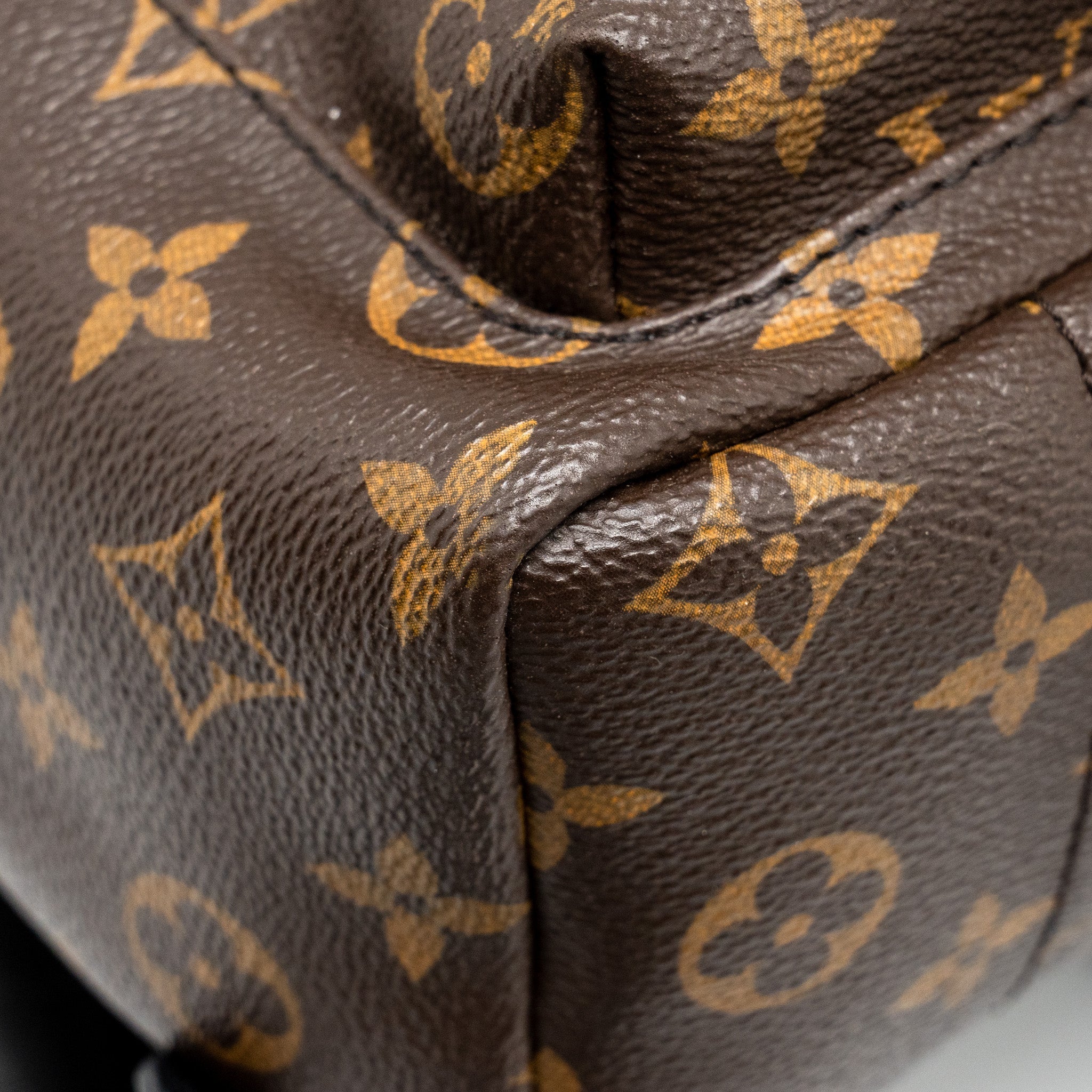 louis-vuitton-palm-spring-pm-backpack-monogram-canvas-ghw-copy