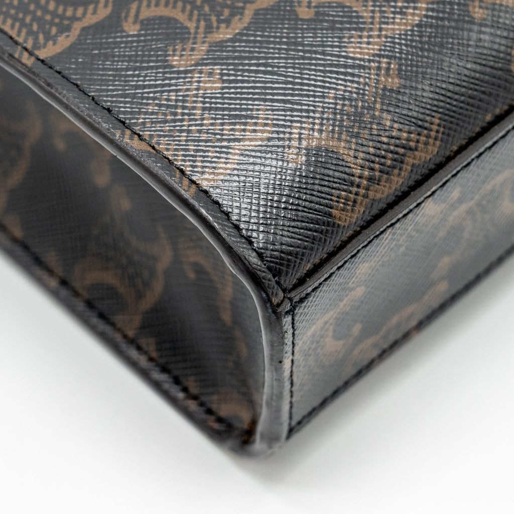celine-mini-vertical-cabas-triomphe-canvas-brown-multicolour-ghw