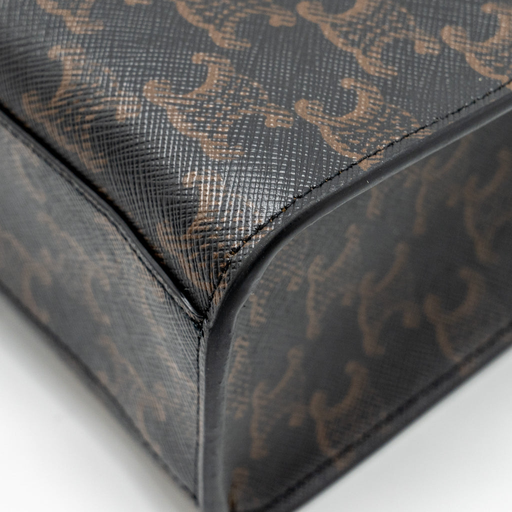 celine-vertical-cabas-in-triomphe-canvas-black-multicolour-ghw