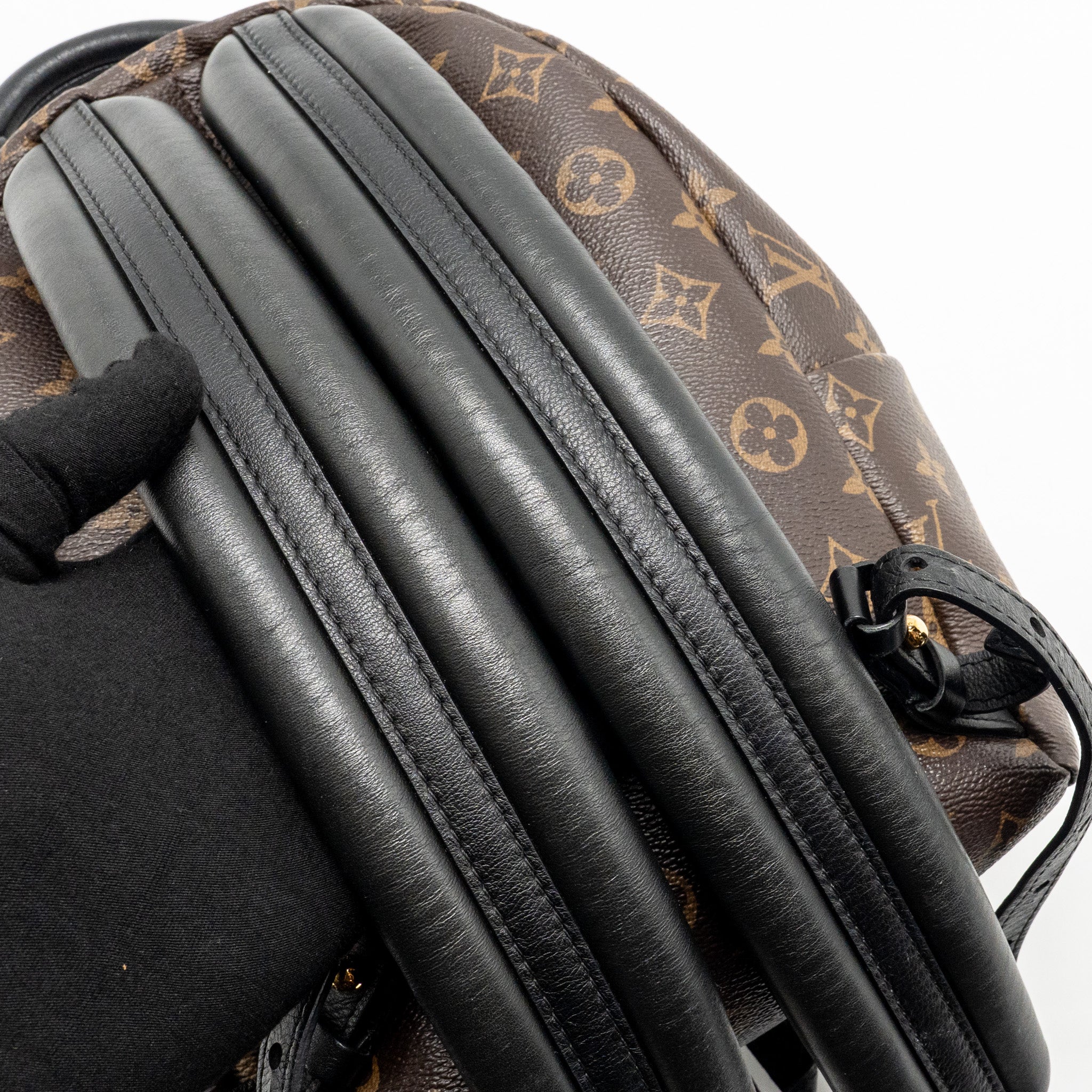 louis-vuitton-palm-spring-pm-backpack-monogram-canvas-ghw-4