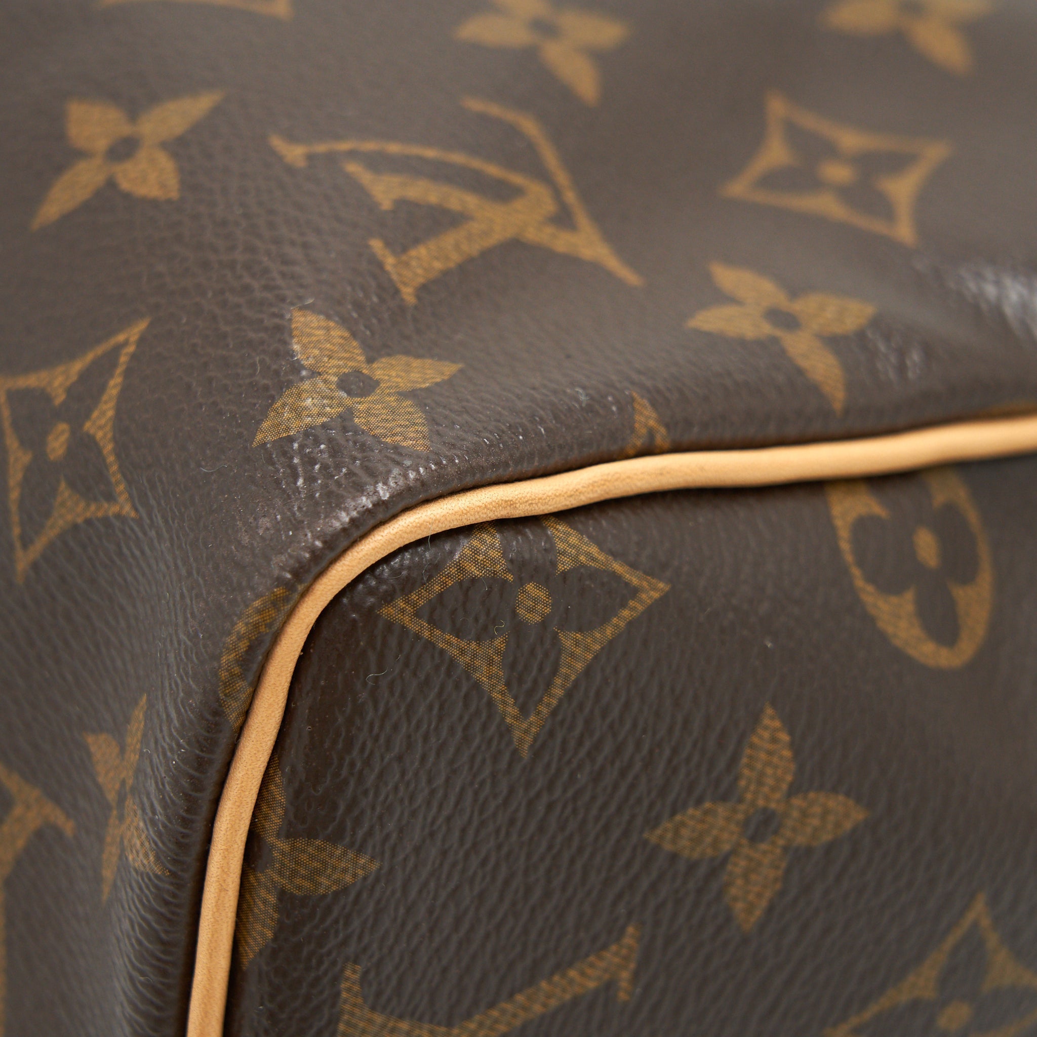 louis-vuitton-speedy-30-monogram
