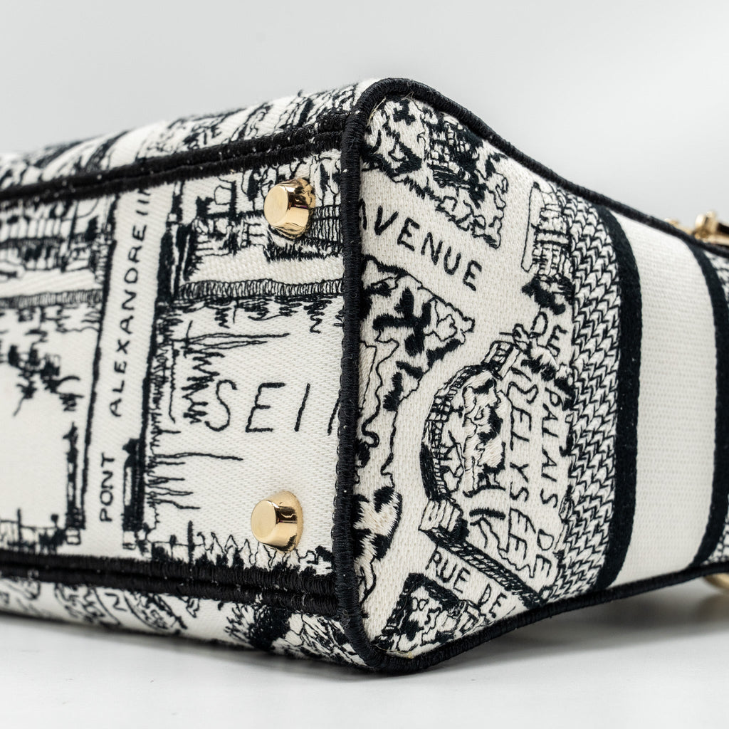 dior-medium-lady-d-lite-bag-plan-de-paris-embroidery-canvas-black-white-lghw-copy