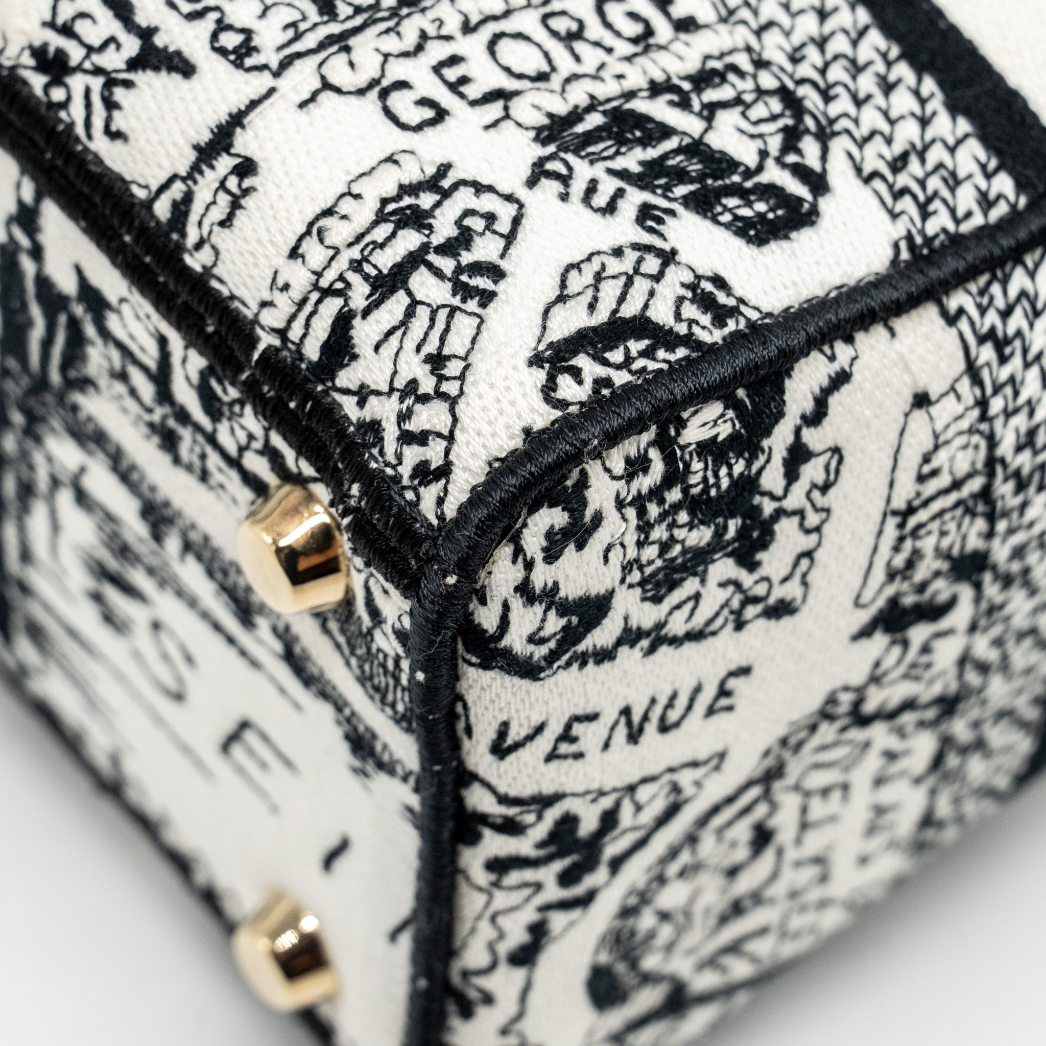 dior-medium-lady-d-lite-bag-plan-de-paris-embroidery-canvas-black-white-lghw-copy