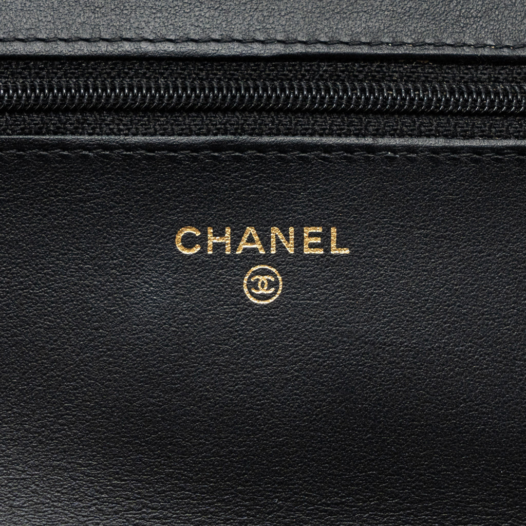 chanel-2-55-reissue-lucky-charms-wallet-on-chain-aged-calfskin-black-ghw