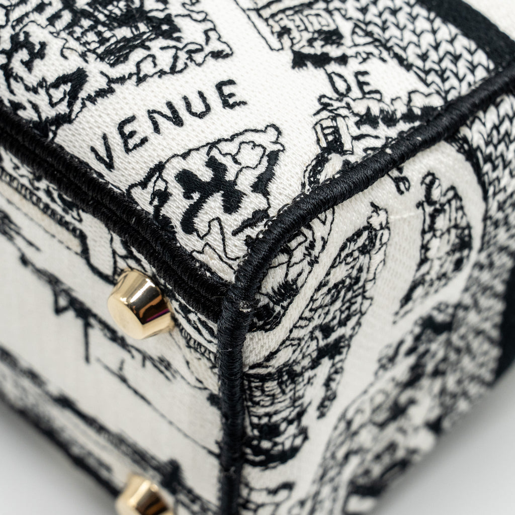 dior-medium-lady-d-lite-bag-plan-de-paris-embroidery-canvas-black-white-lghw-copy