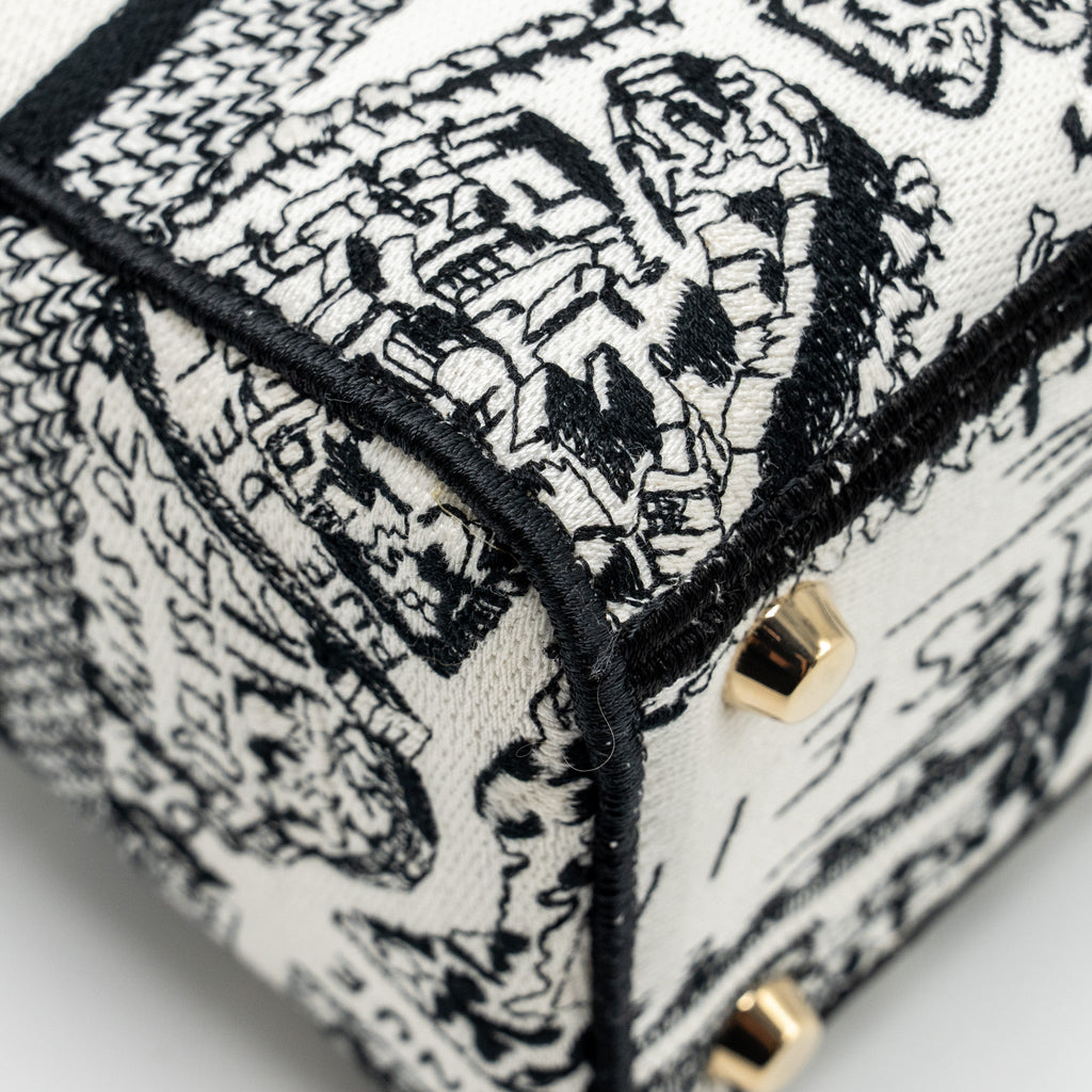 dior-medium-lady-d-lite-bag-plan-de-paris-embroidery-canvas-black-white-lghw-copy