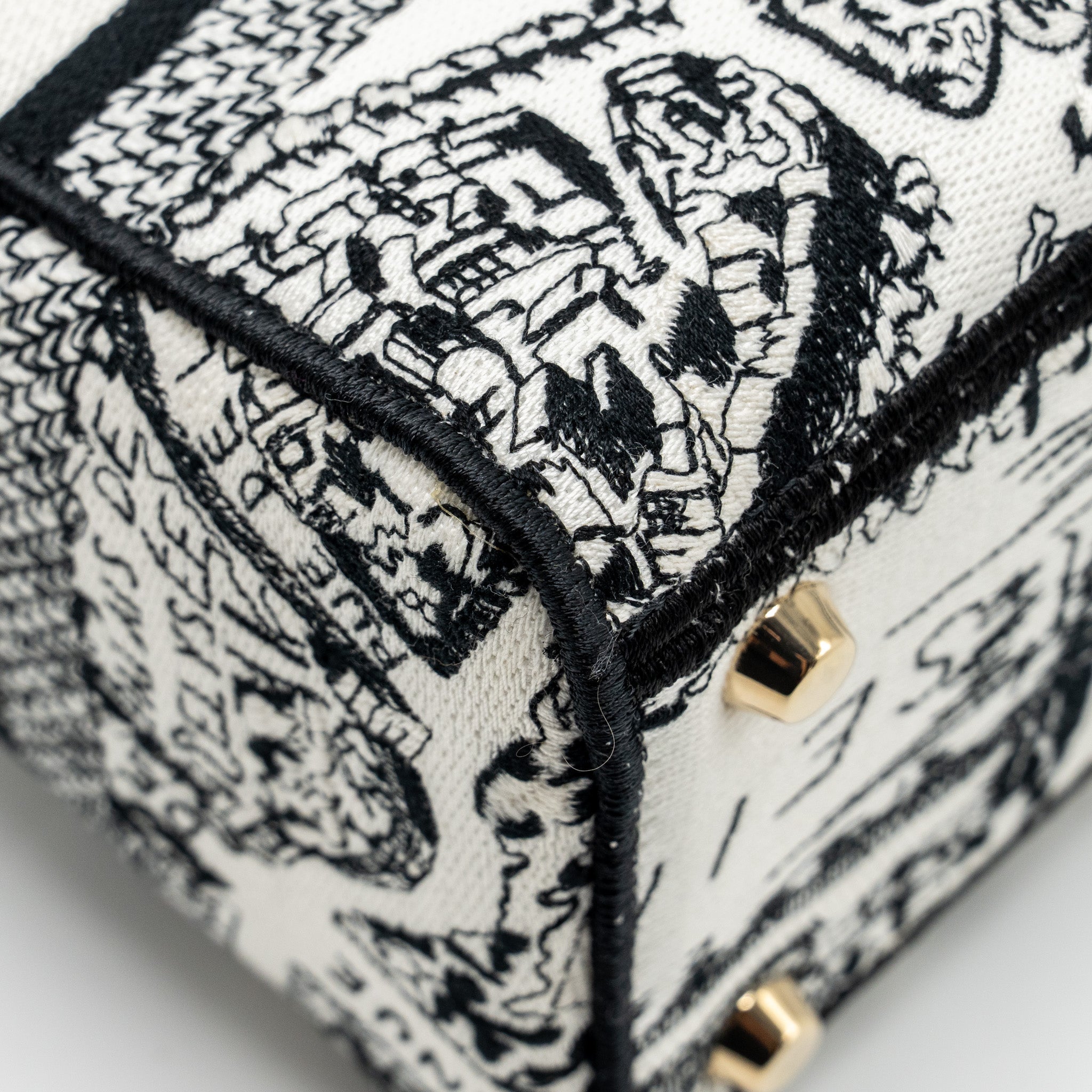 dior-medium-lady-d-lite-bag-plan-de-paris-embroidery-canvas-black-white-lghw-copy