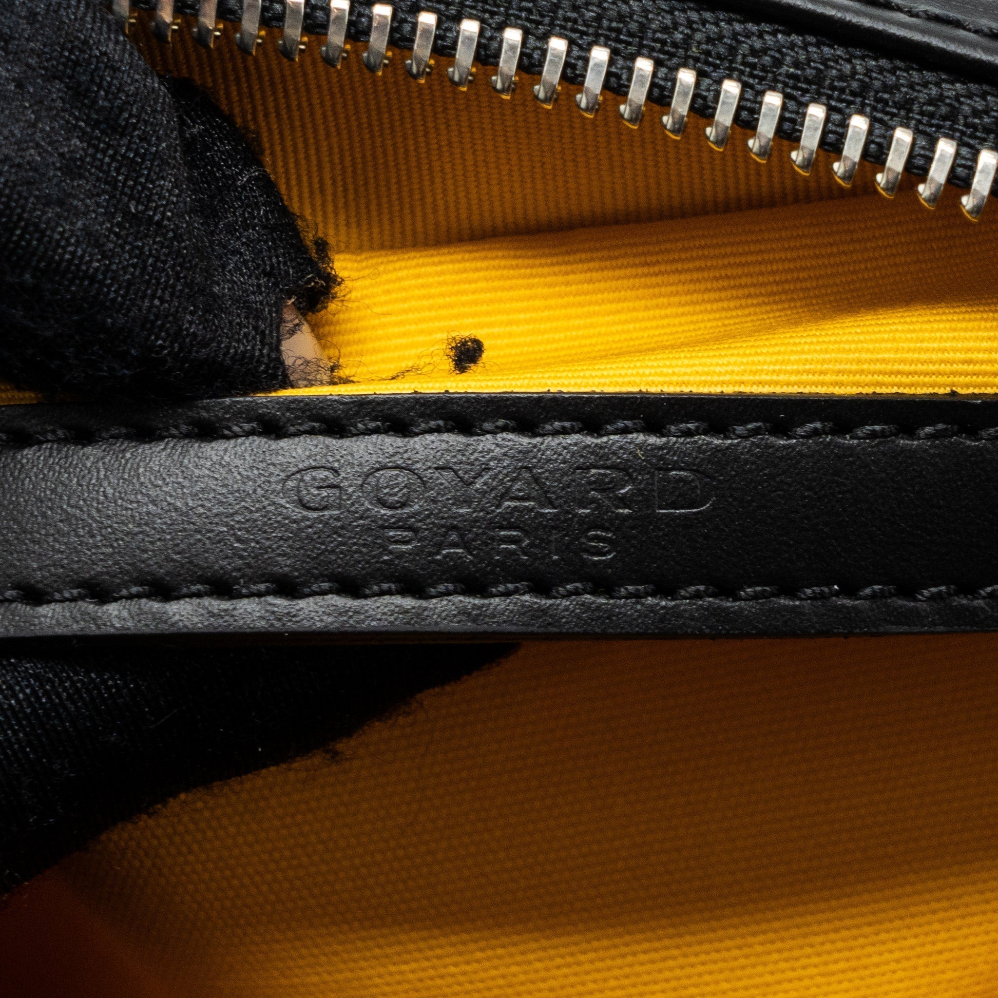 goyard-cap-vert-pm-bag-canvas-leather-black-shw