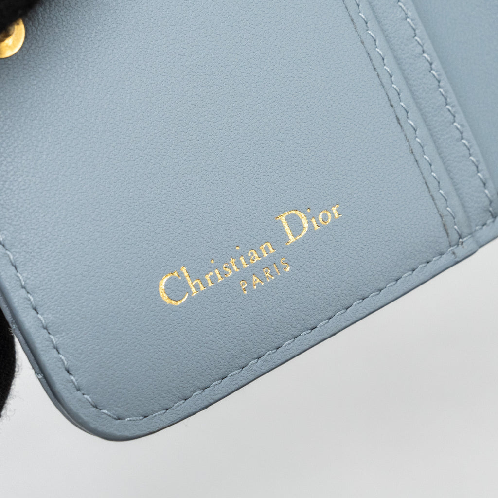 dior-caro-scarlet-zipped-wallet-cannage-calfskin-cloud-blue-ghw