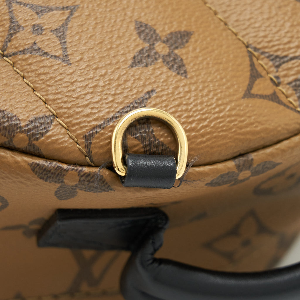 louis-vuitton-palm-spring-mini-backpack-monogram-canvas-1