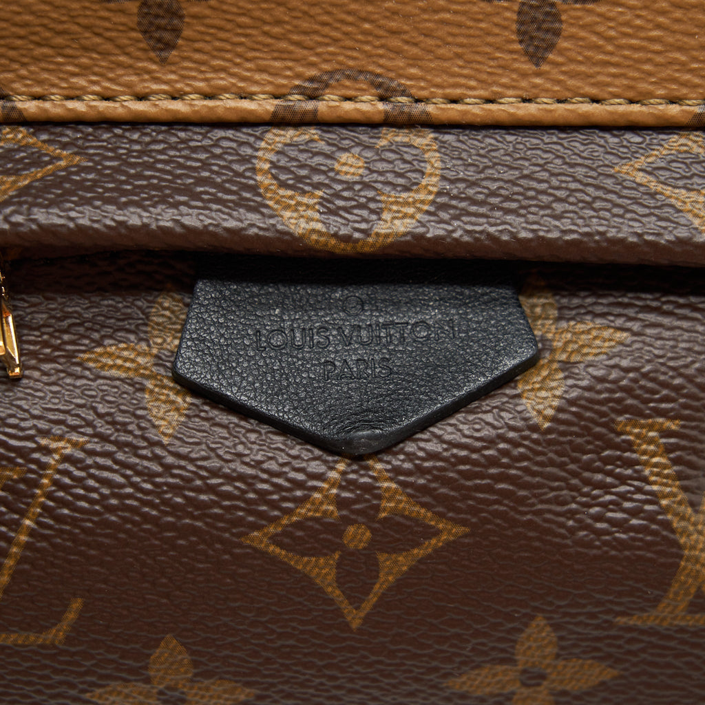 louis-vuitton-palm-spring-mini-backpack-monogram-canvas-1