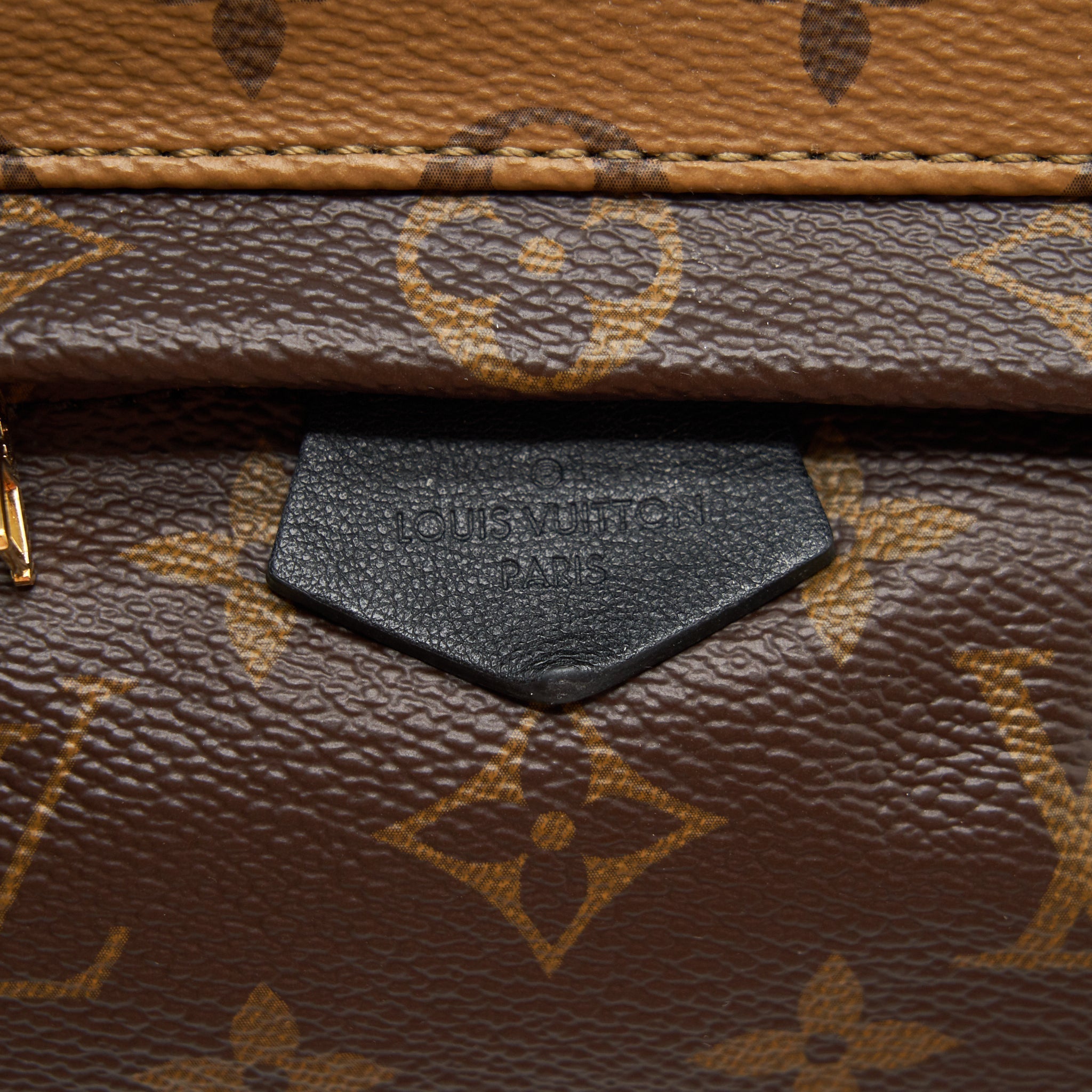 louis-vuitton-palm-spring-mini-backpack-monogram-canvas-1