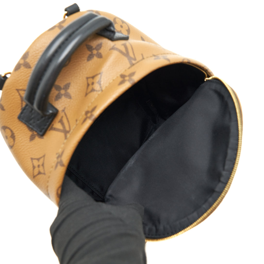 louis-vuitton-palm-spring-mini-backpack-monogram-canvas-1