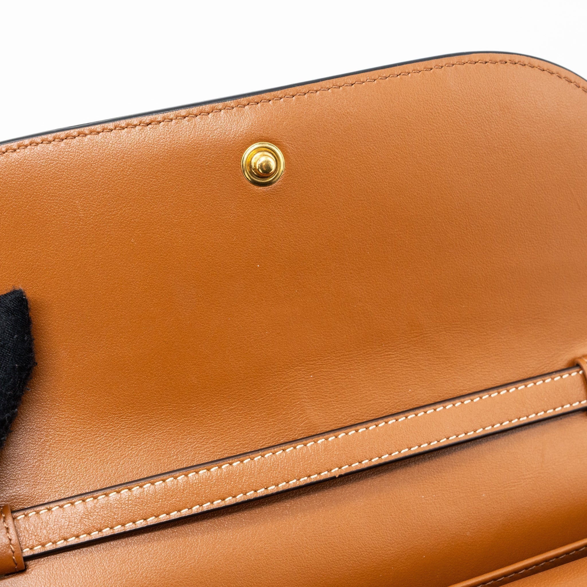 celine-wallet-on-strap-triomphe-canvas-lambskin-tan-ghw