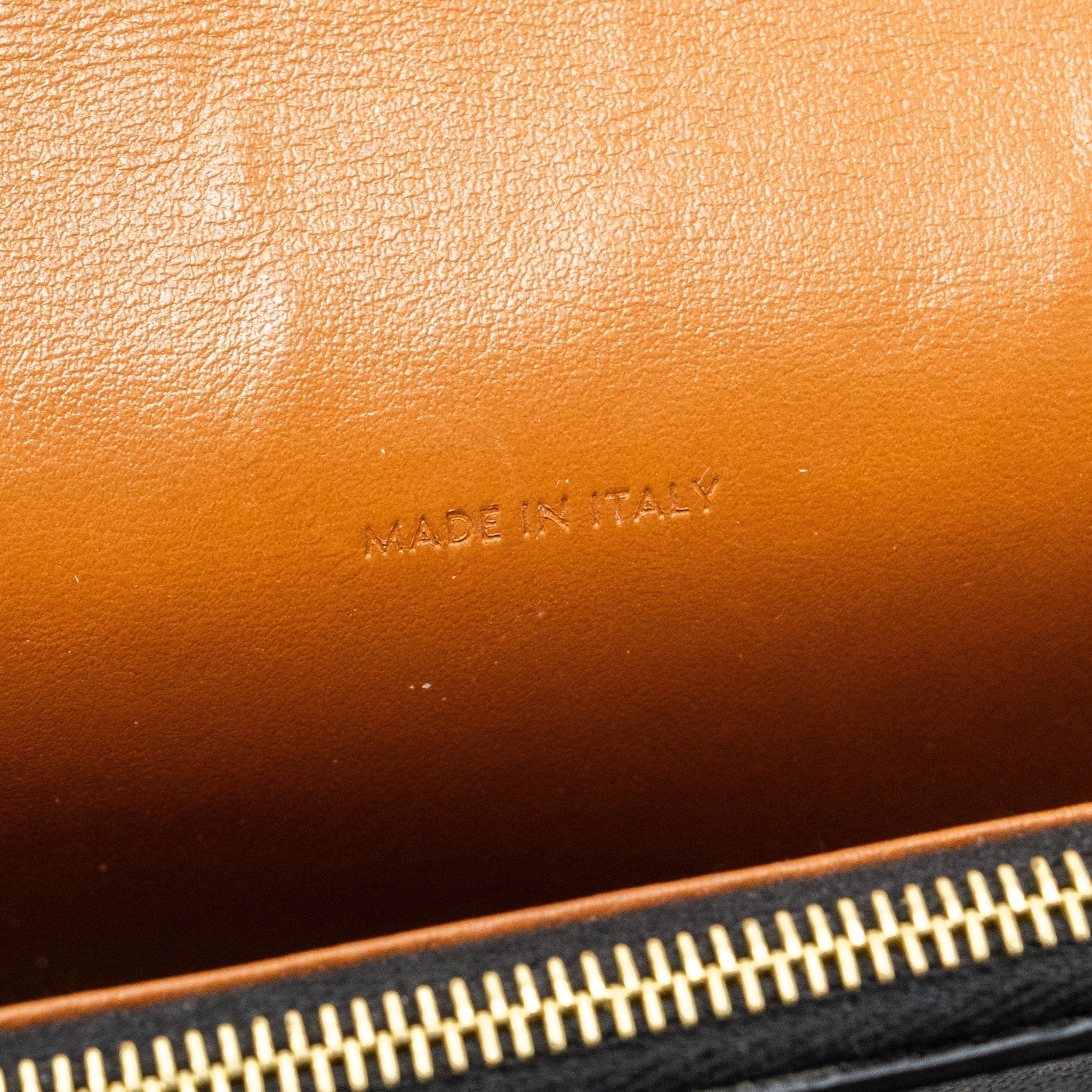 celine-wallet-on-strap-triomphe-canvas-lambskin-tan-ghw