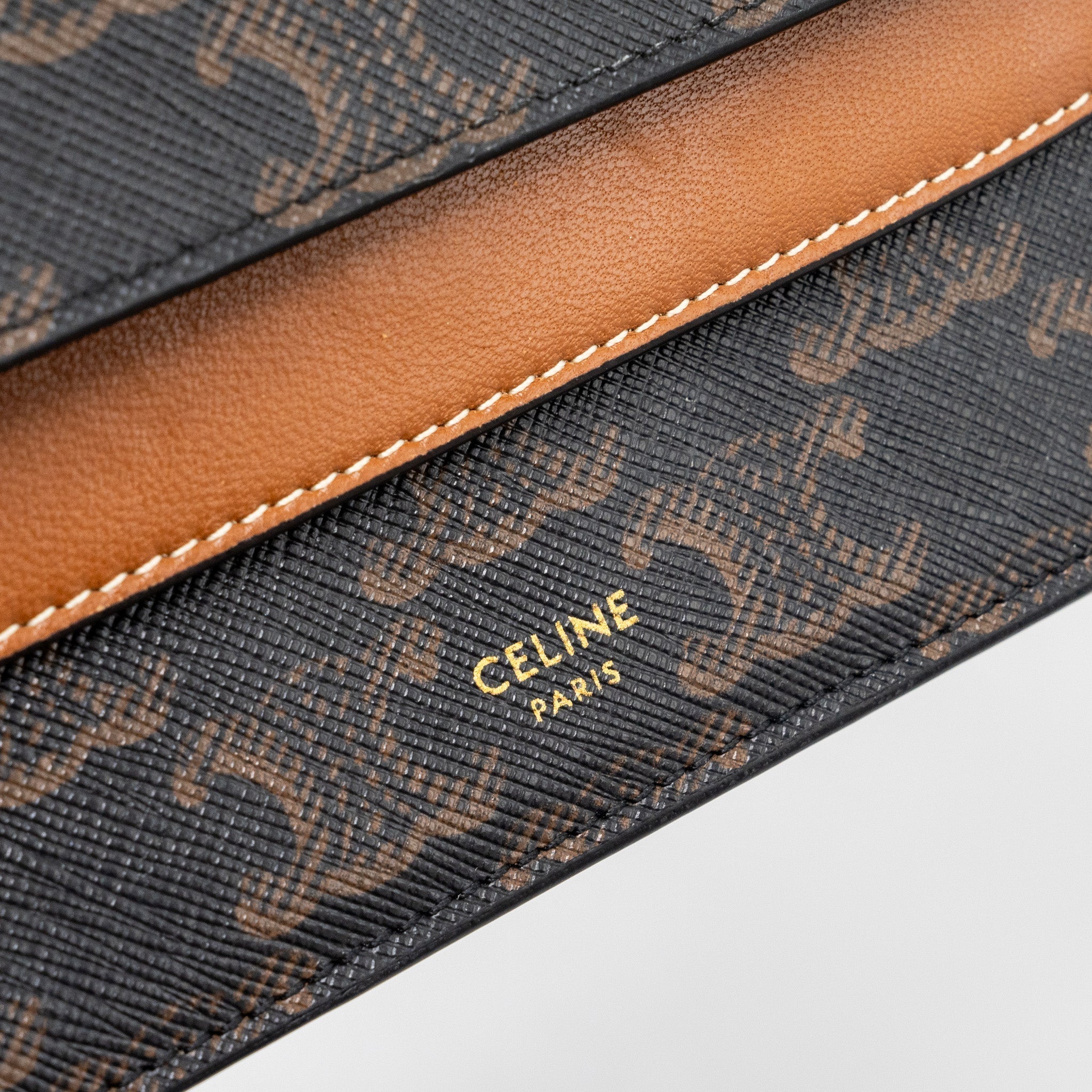 celine-wallet-on-strap-triomphe-canvas-smooth-lambskin-tan-ghw-1