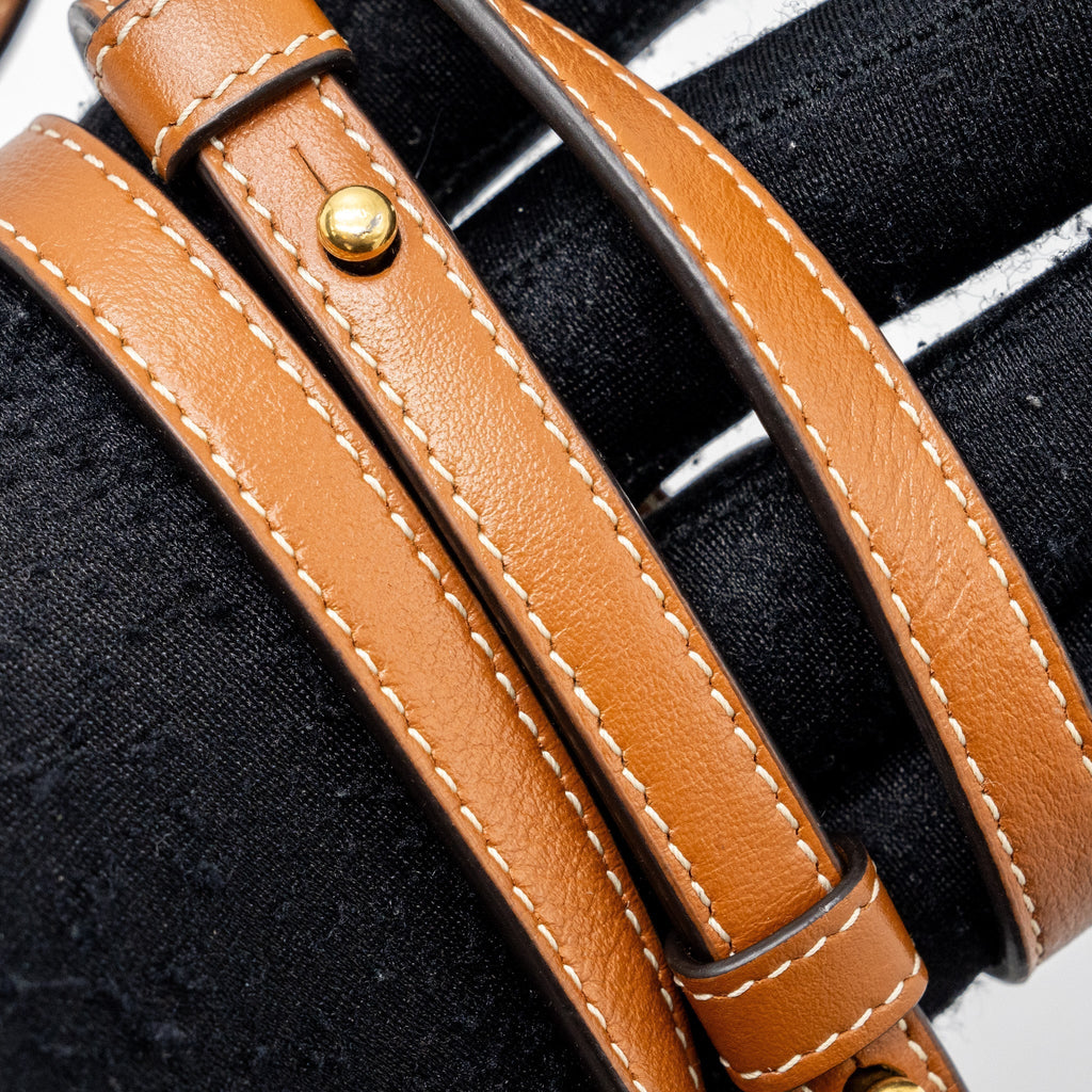 celine-wallet-on-strap-triomphe-canvas-smooth-lambskin-tan-ghw-1