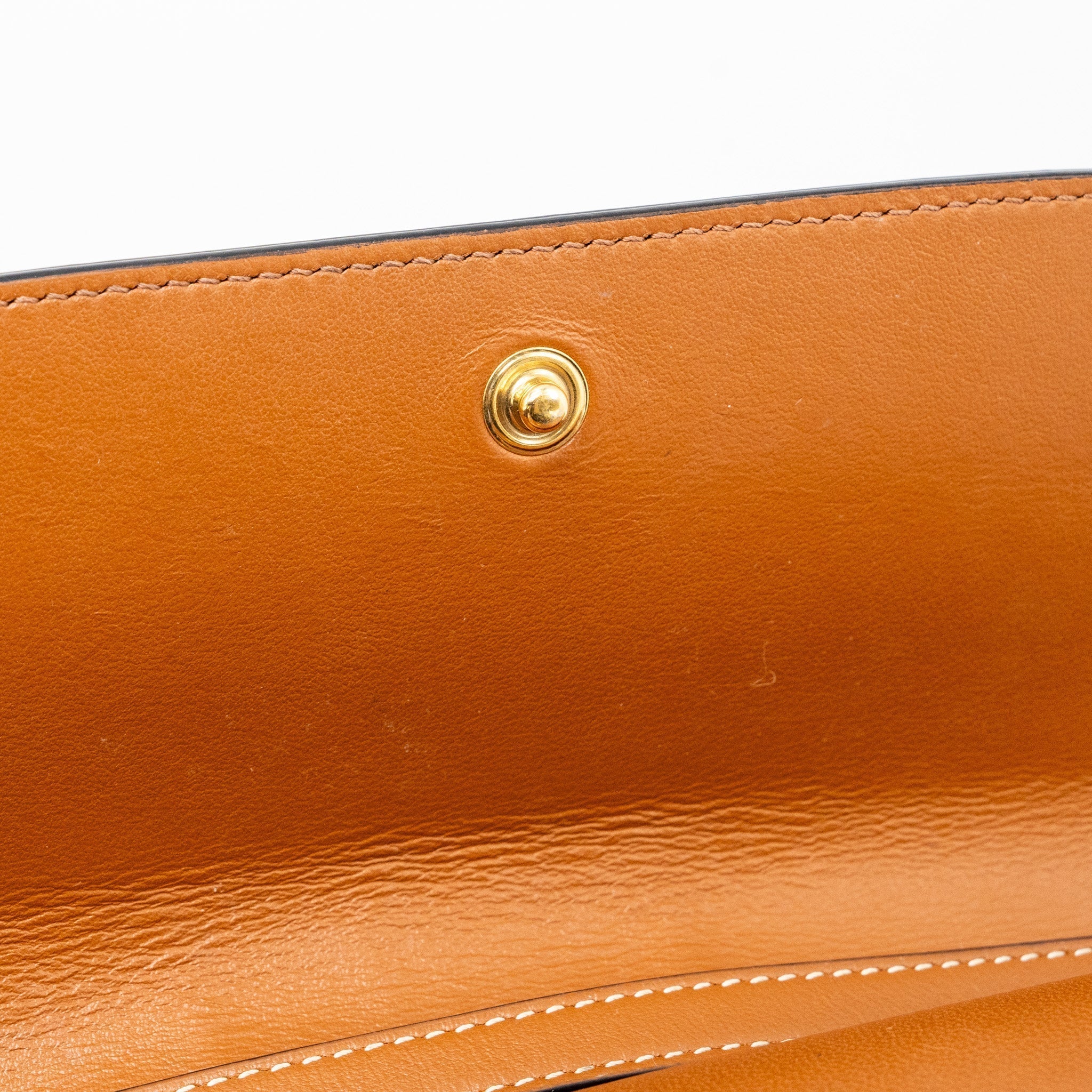 celine-wallet-on-strap-triomphe-canvas-smooth-lambskin-tan-ghw-1