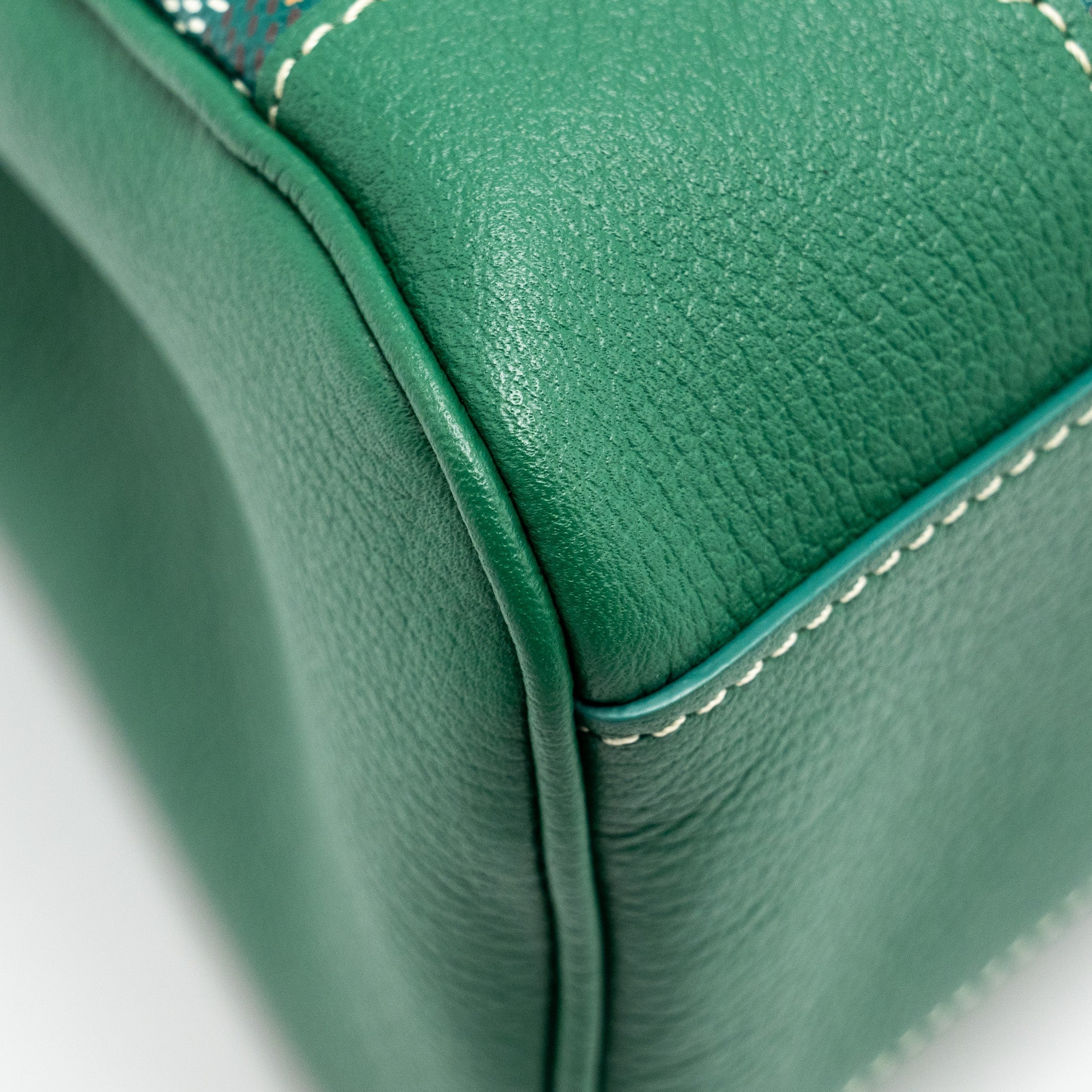 goyard-mini-saigon-bag-goyardline-canvas-green-shw