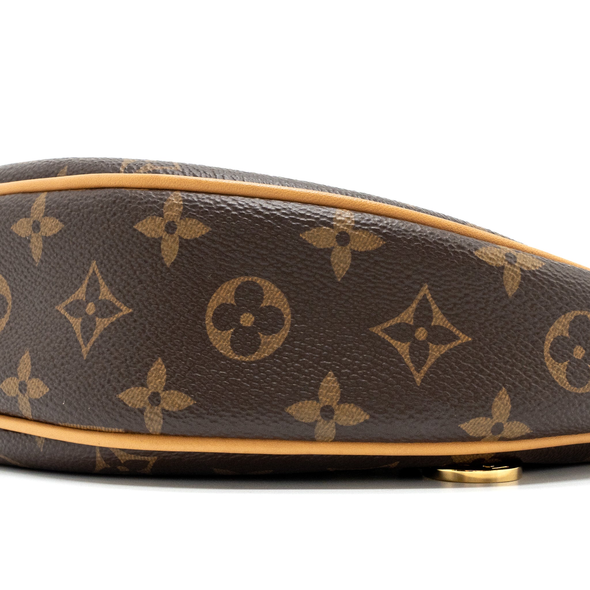 louis-vuitton-loop-bag-monogram-canvas-ghwmicrochip