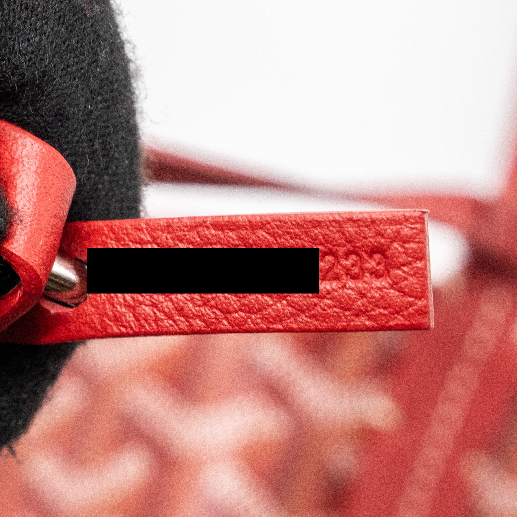 goyard-mini-anjou-tote-bag-canvas-calfskin-red-shw