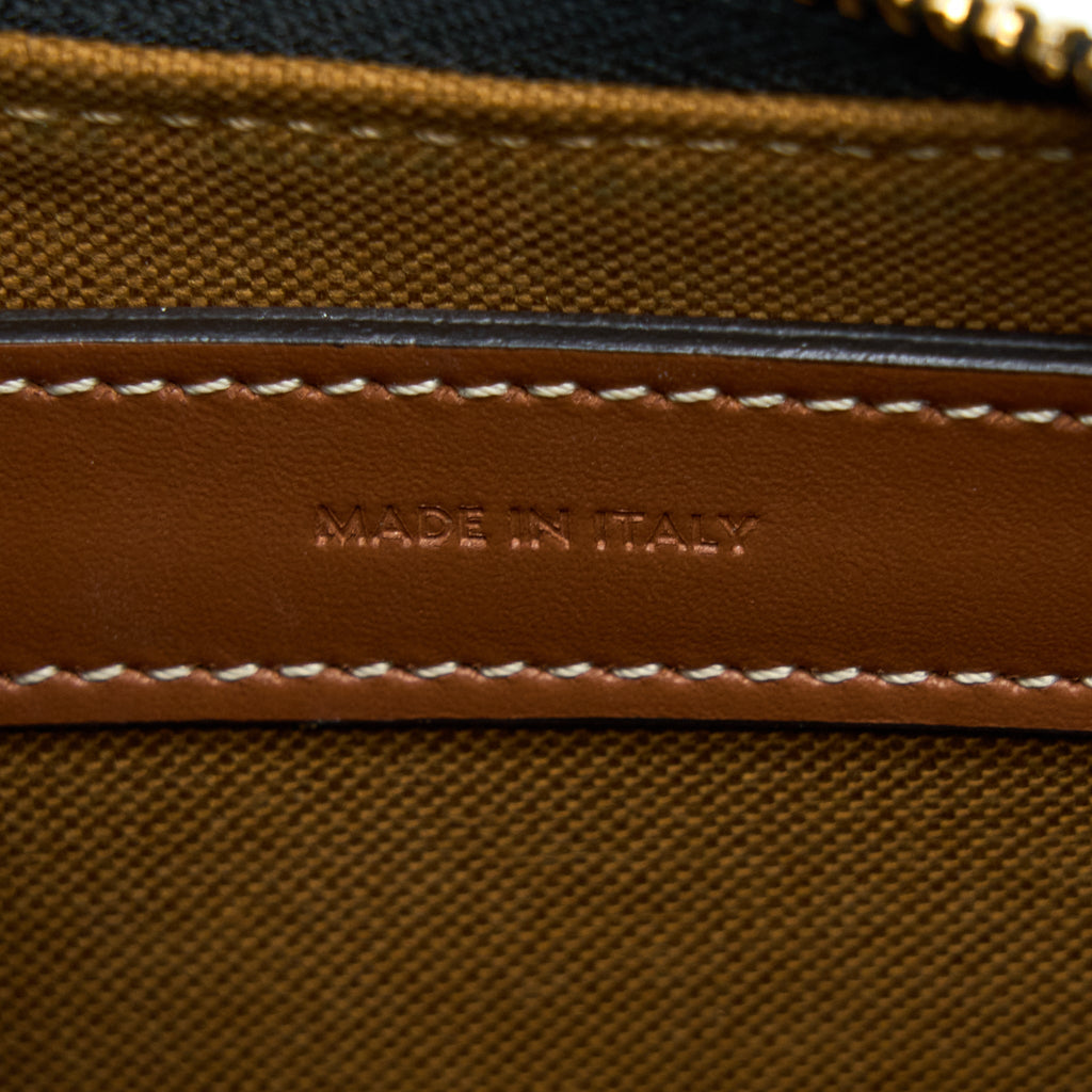 celine-ava-bag-in-triomphe-canvas-and-calfskin-tan-1