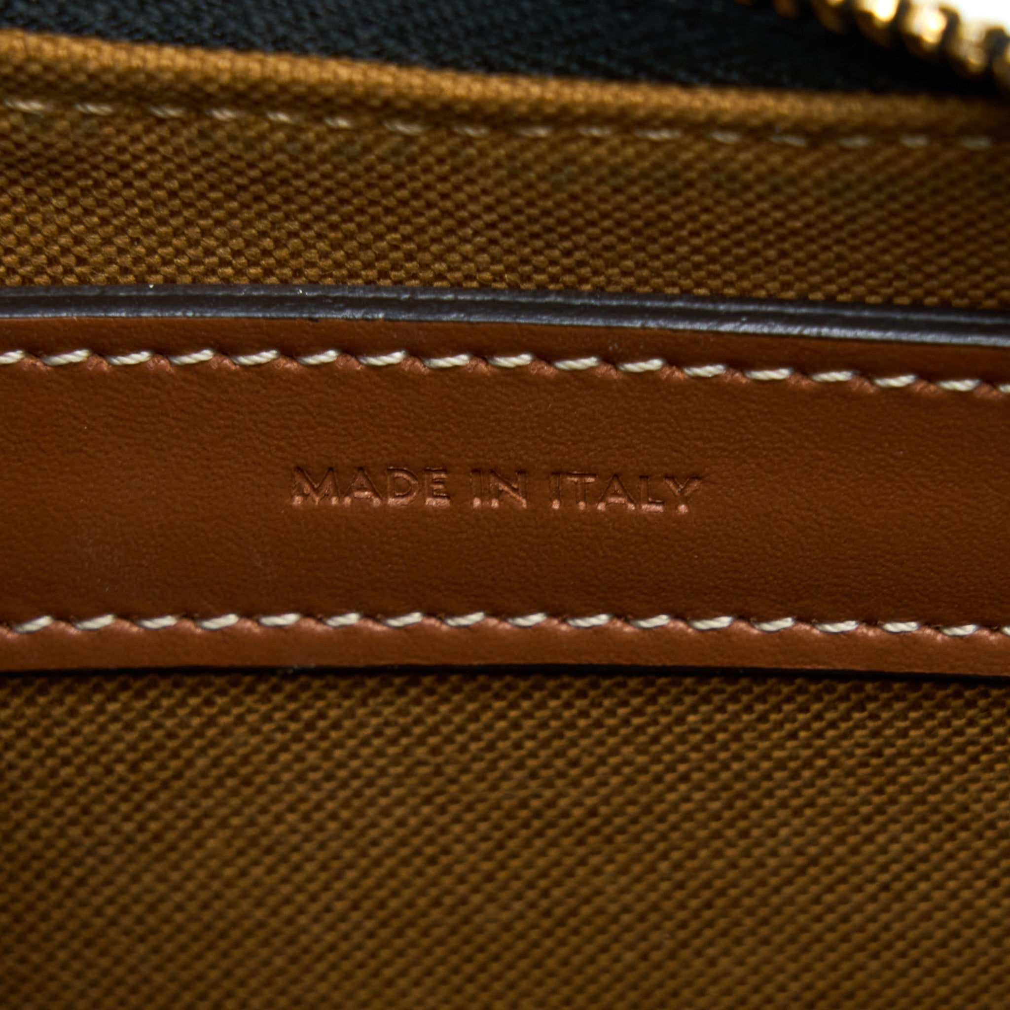celine-ava-bag-in-triomphe-canvas-and-calfskin-tan-1