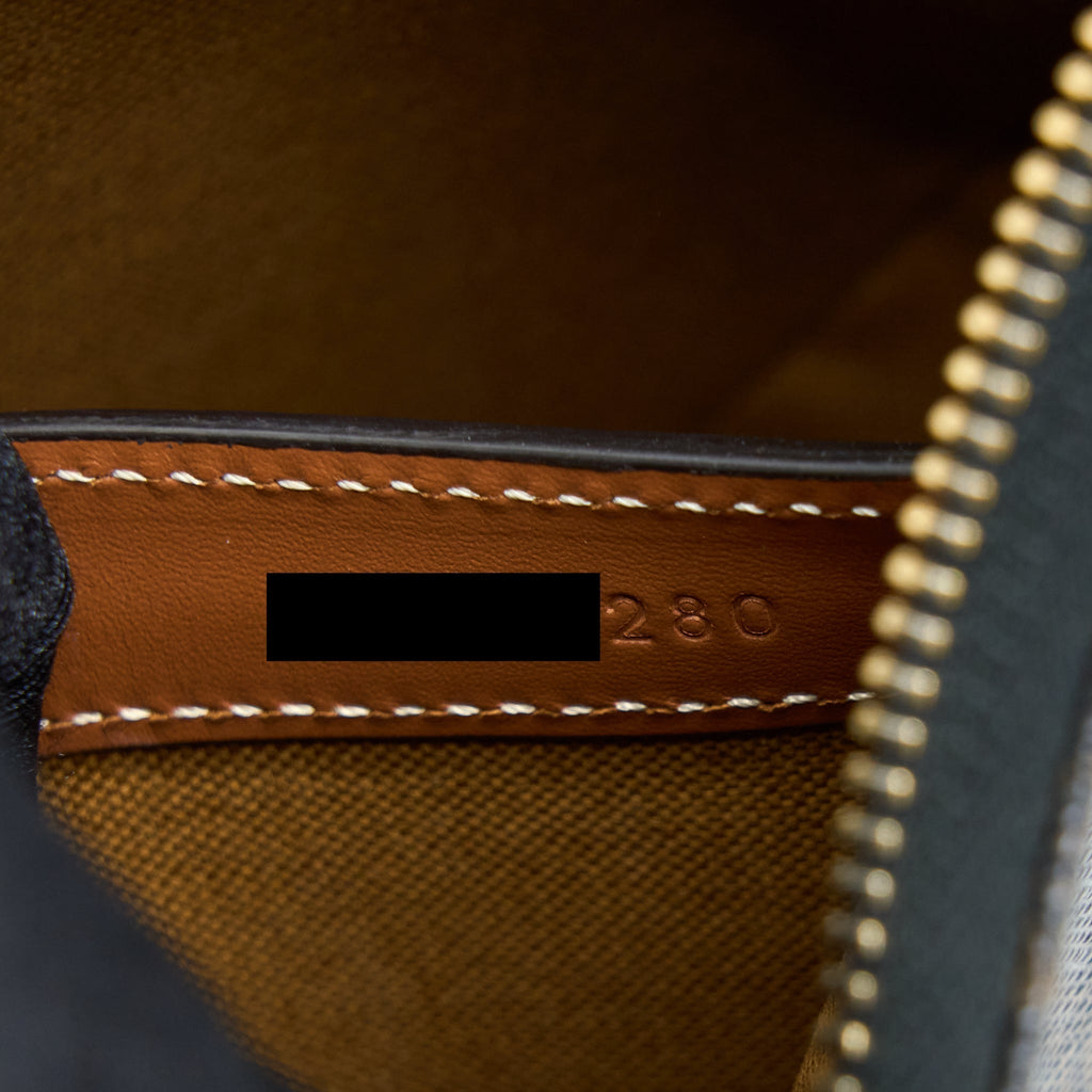 celine-ava-bag-in-triomphe-canvas-and-calfskin-tan-1