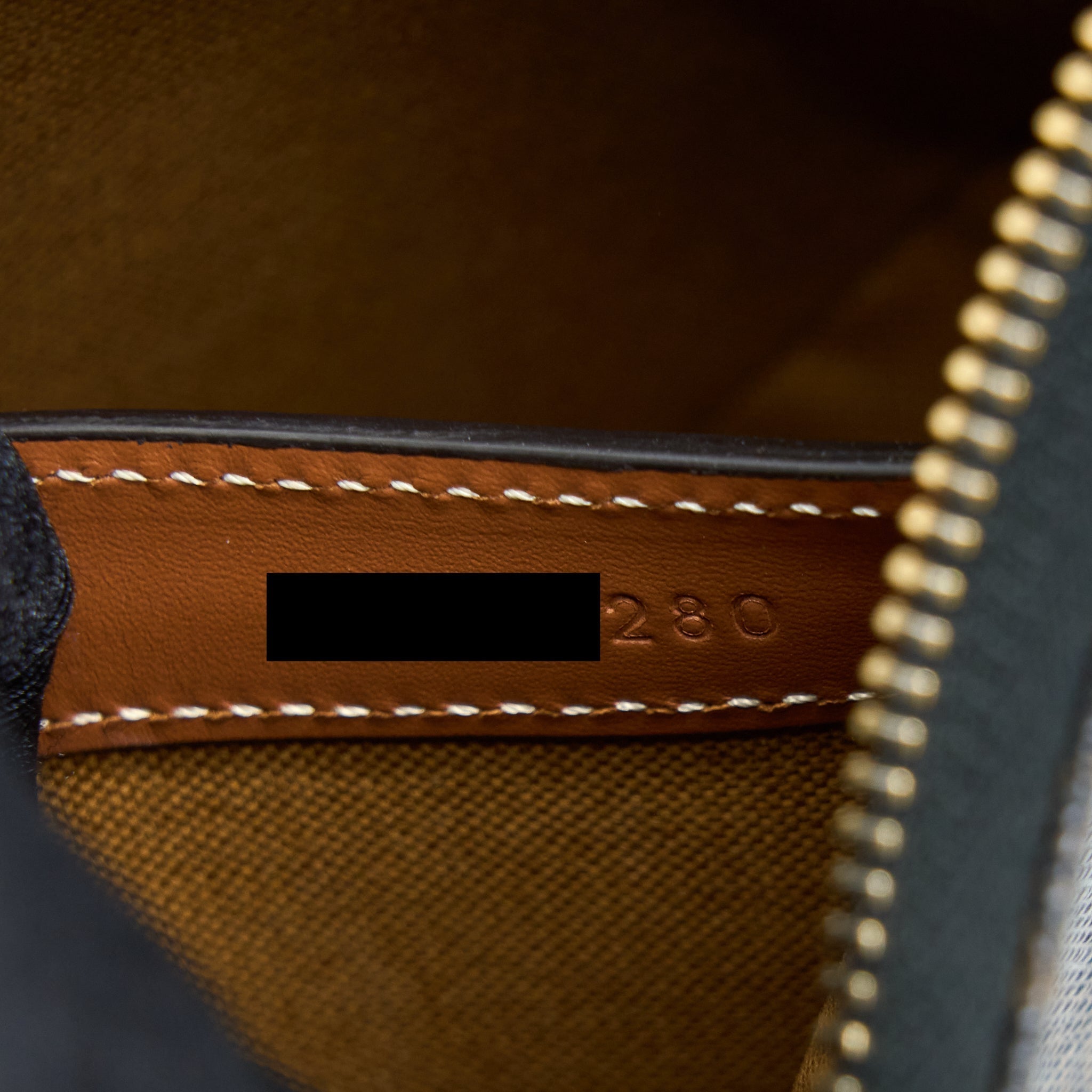 celine-ava-bag-in-triomphe-canvas-and-calfskin-tan-1