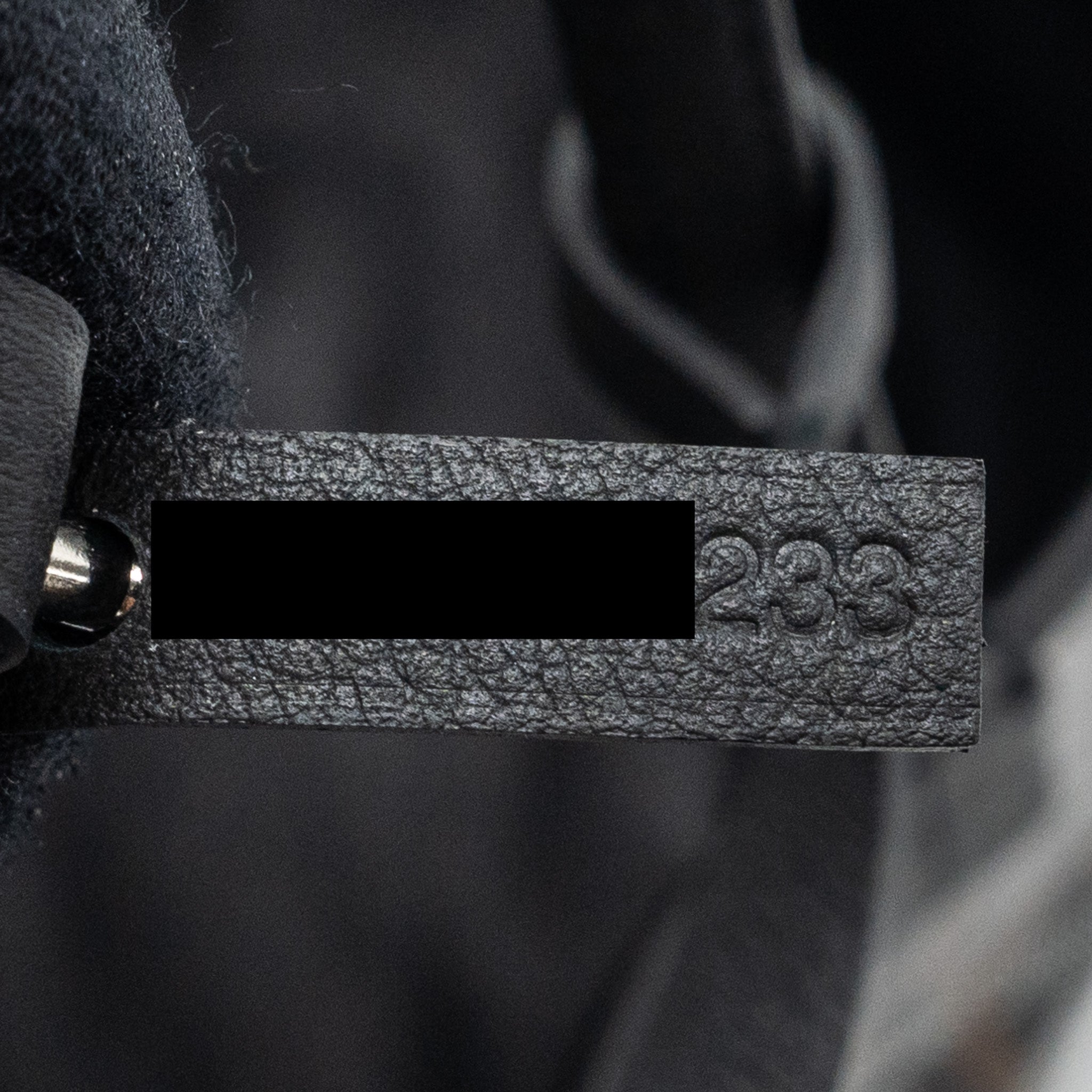 goyard-anjou-mini-bag-canvas-calfskin-black-shw