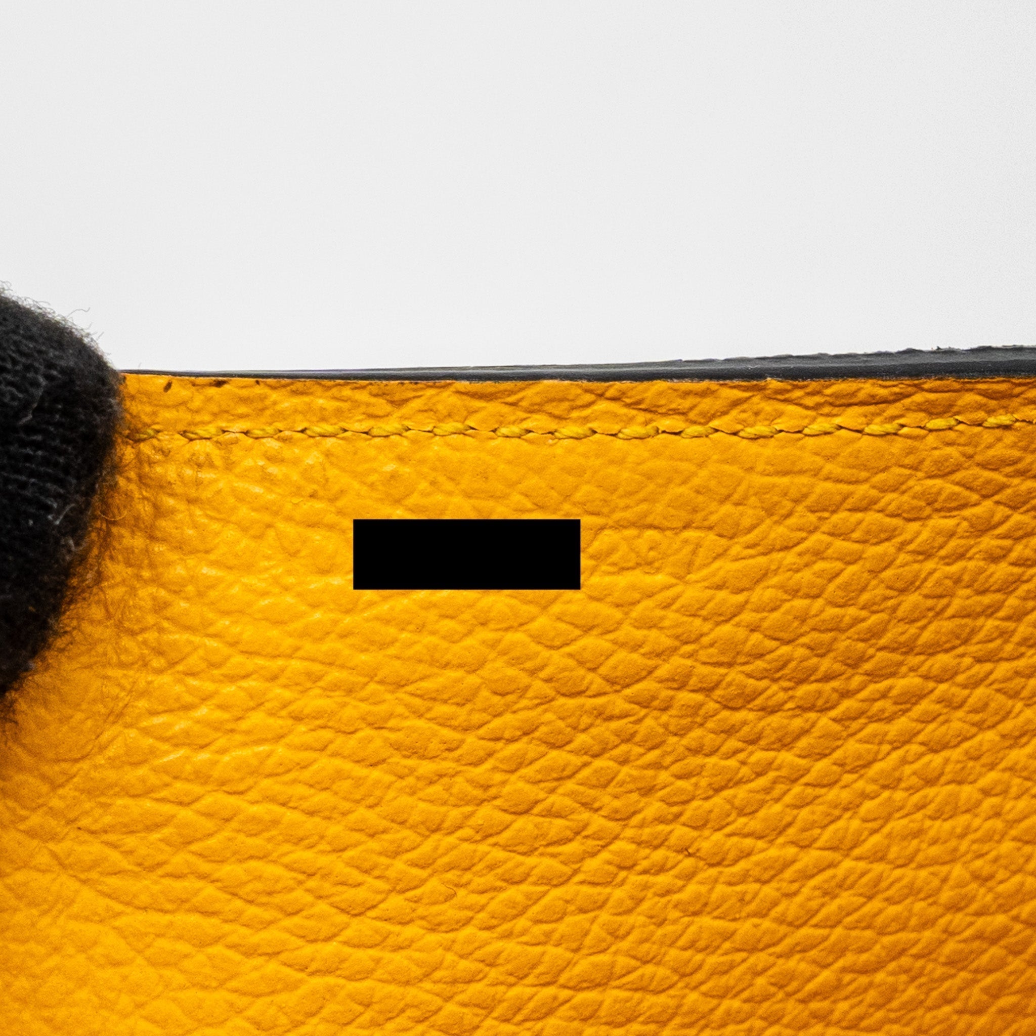 goyard-saigon-mini-goyardline-canvas-black-multicolour-shw-1