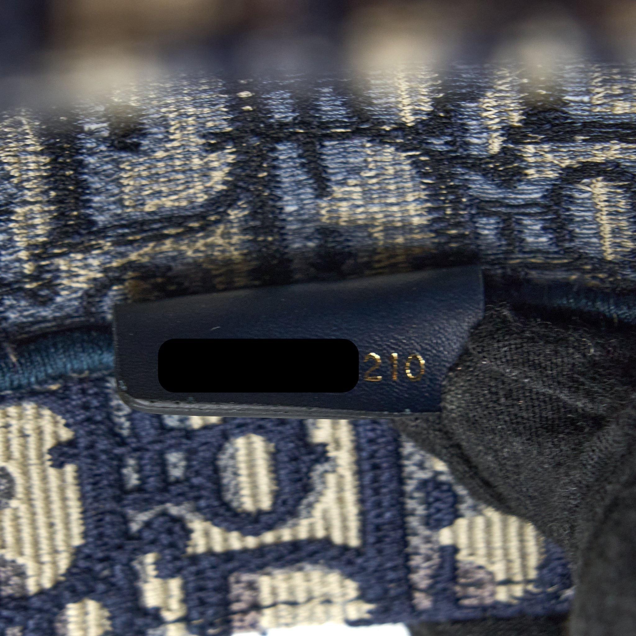 dior-medium-book-tote-blue-oblique-embroidery