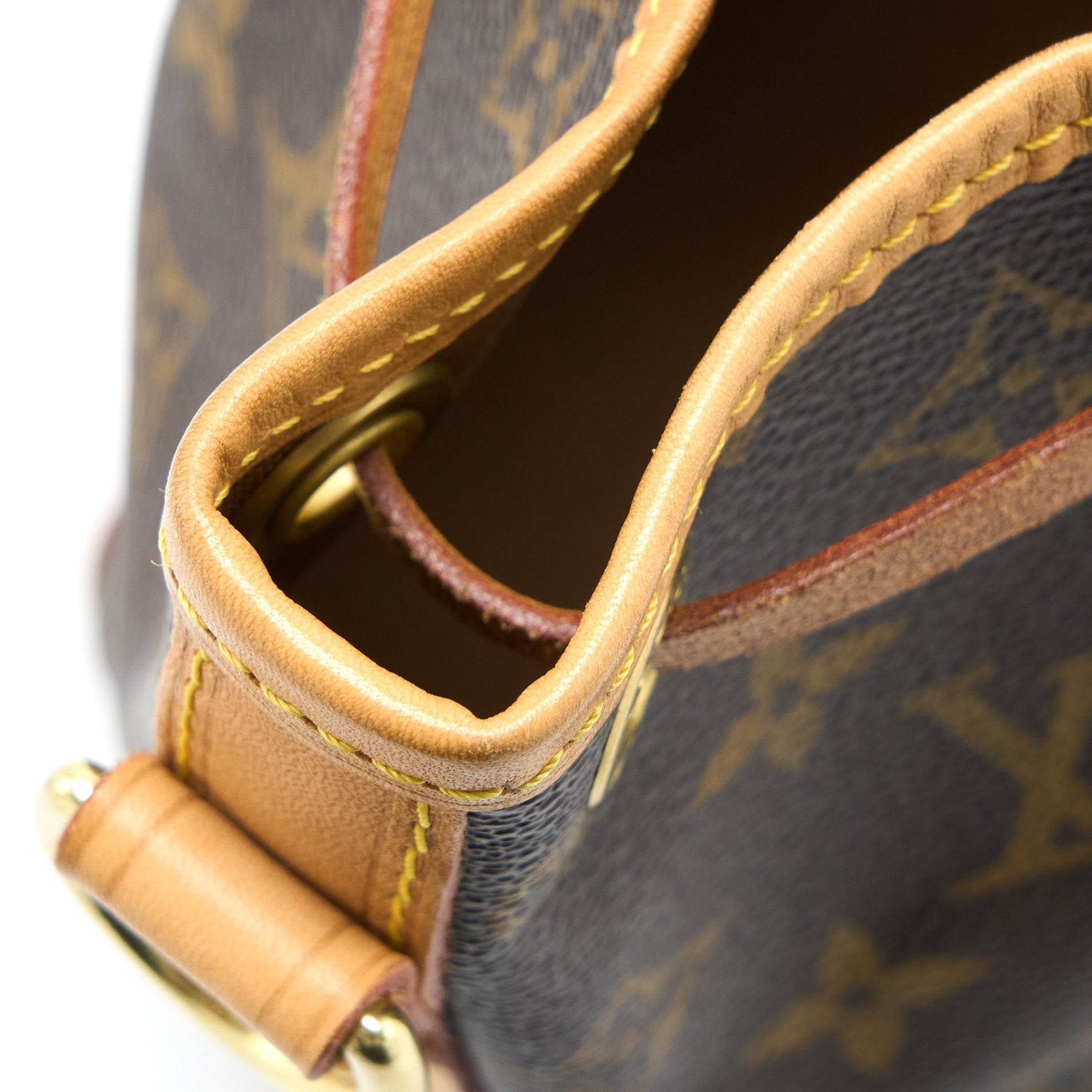 louis-vuitton-neo-noe-bb-monogram-canvas-ghw-1