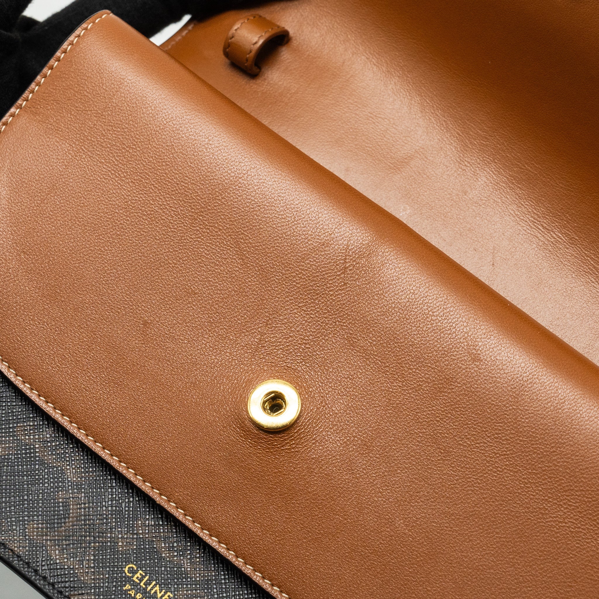 celine-wallet-on-strap-triomphe-canvas-smooth-lambskin-tan-ghw-5