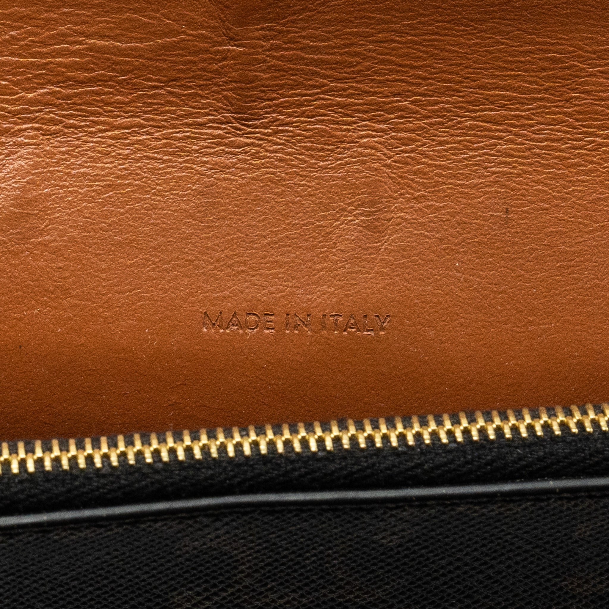 celine-wallet-on-strap-triomphe-canvas-smooth-lambskin-tan-ghw-5