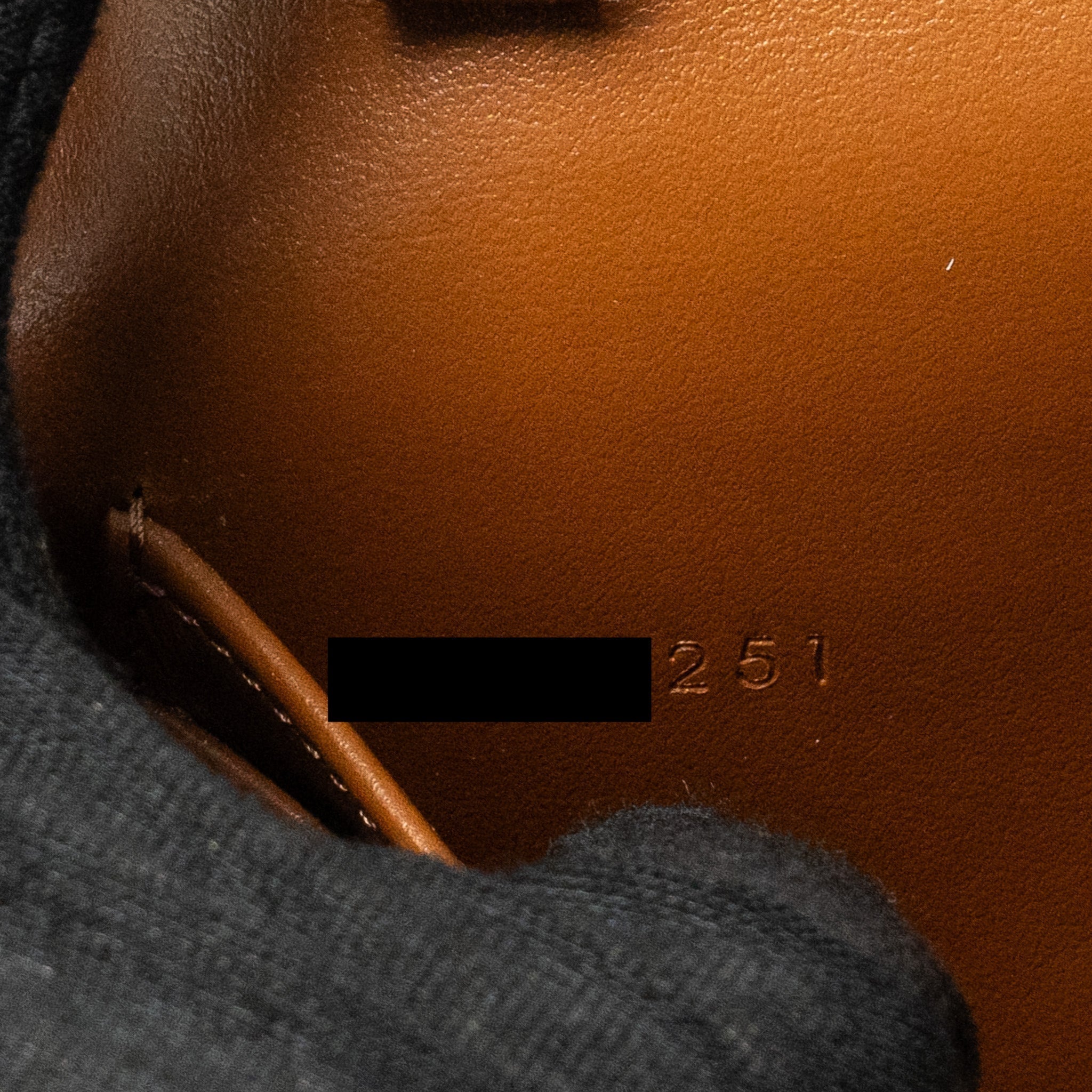 celine-wallet-on-strap-triomphe-canvas-smooth-lambskin-tan-ghw-5