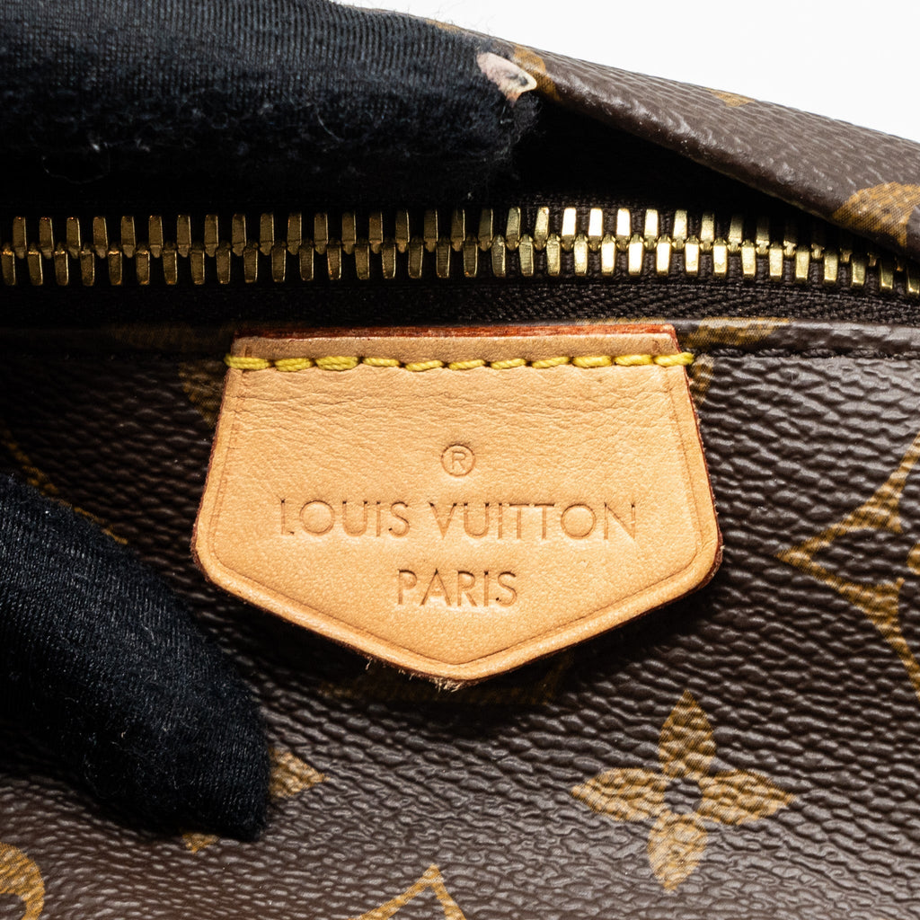 louis-vuitton-bumbag-monogram-canvas-ghw-2