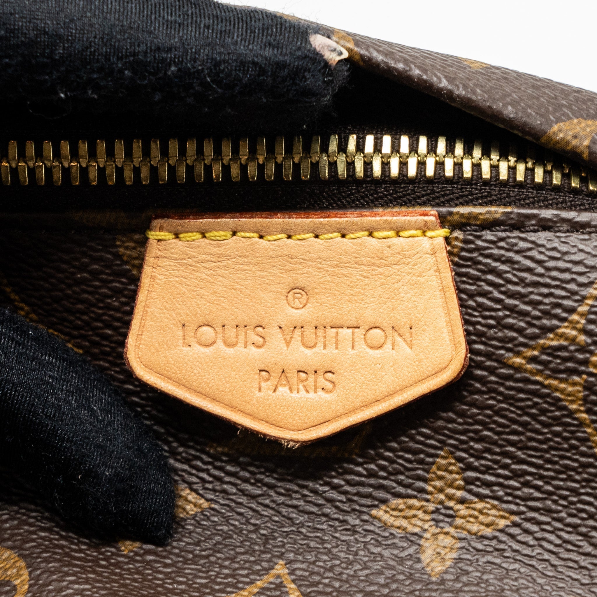 louis-vuitton-bumbag-monogram-canvas-ghw-2