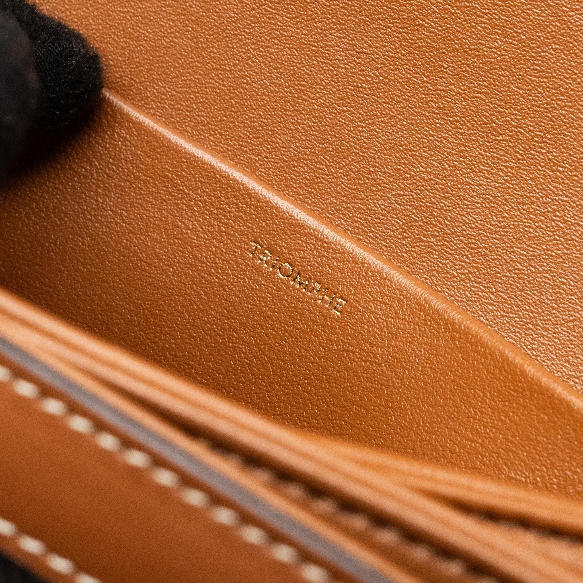 celine-teen-triomphe-bag-canvas-calfskin-tan-ghw