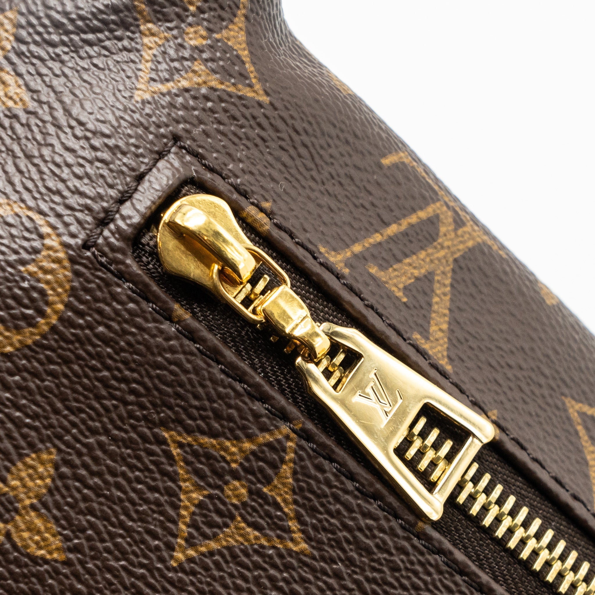 louis-vuitton-bumbag-monogram-canvas-ghw-2