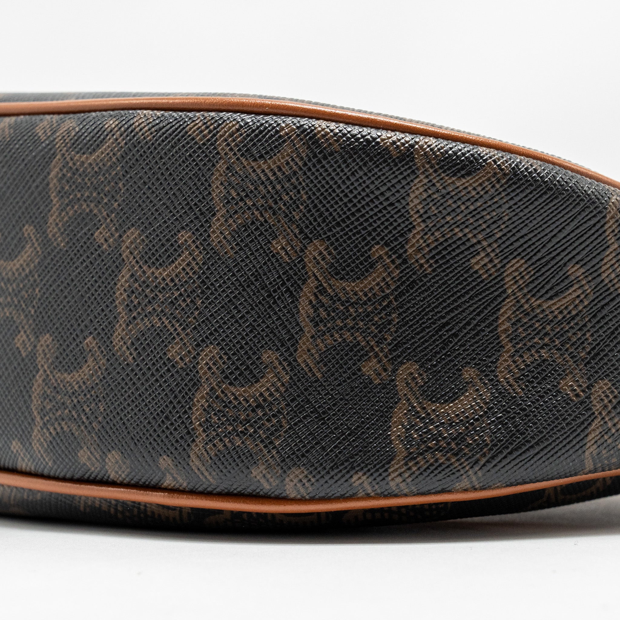 celine-ava-bag-triomphe-canvas-calfskin-brown-ghw-1