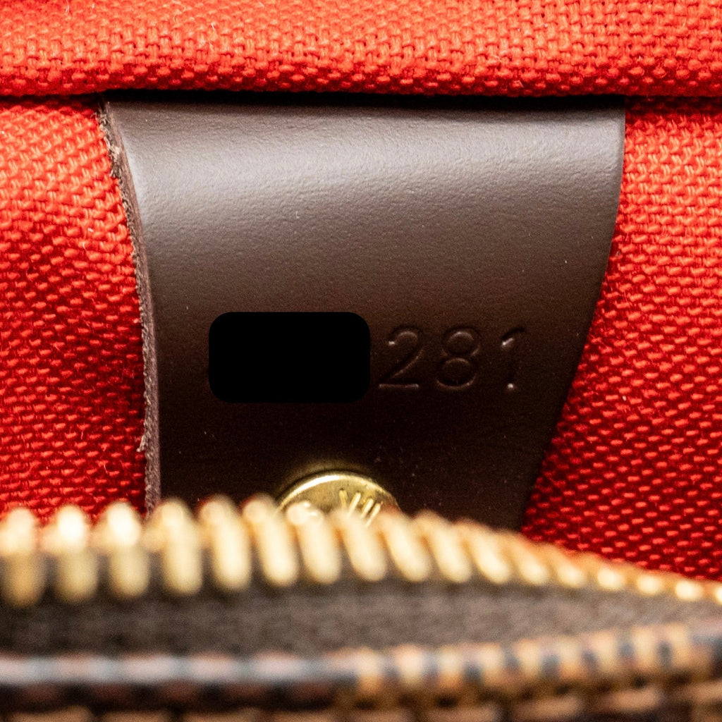 louis-vuitton-speedy-bandouliere-25-damier-ebene-ghw-6