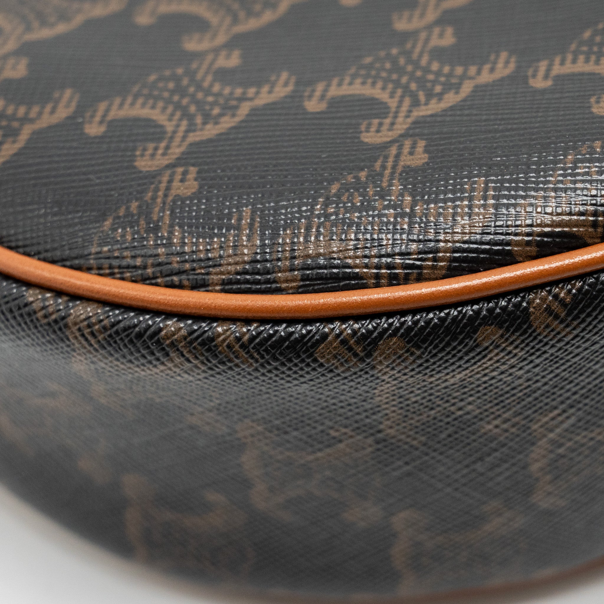 celine-ava-bag-triomphe-canvas-calfskin-brown-ghw-1