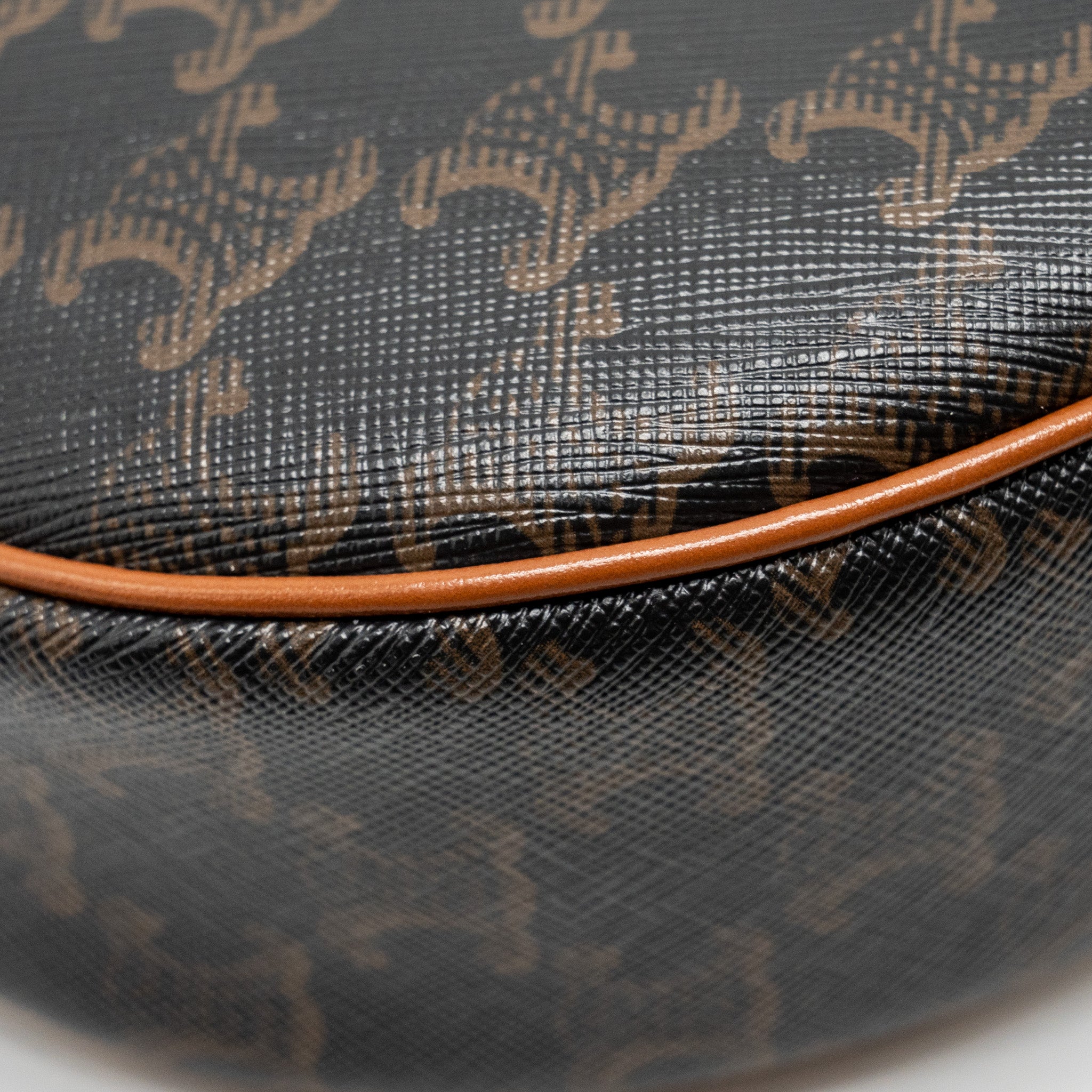 celine-ava-bag-triomphe-canvas-calfskin-brown-ghw-1