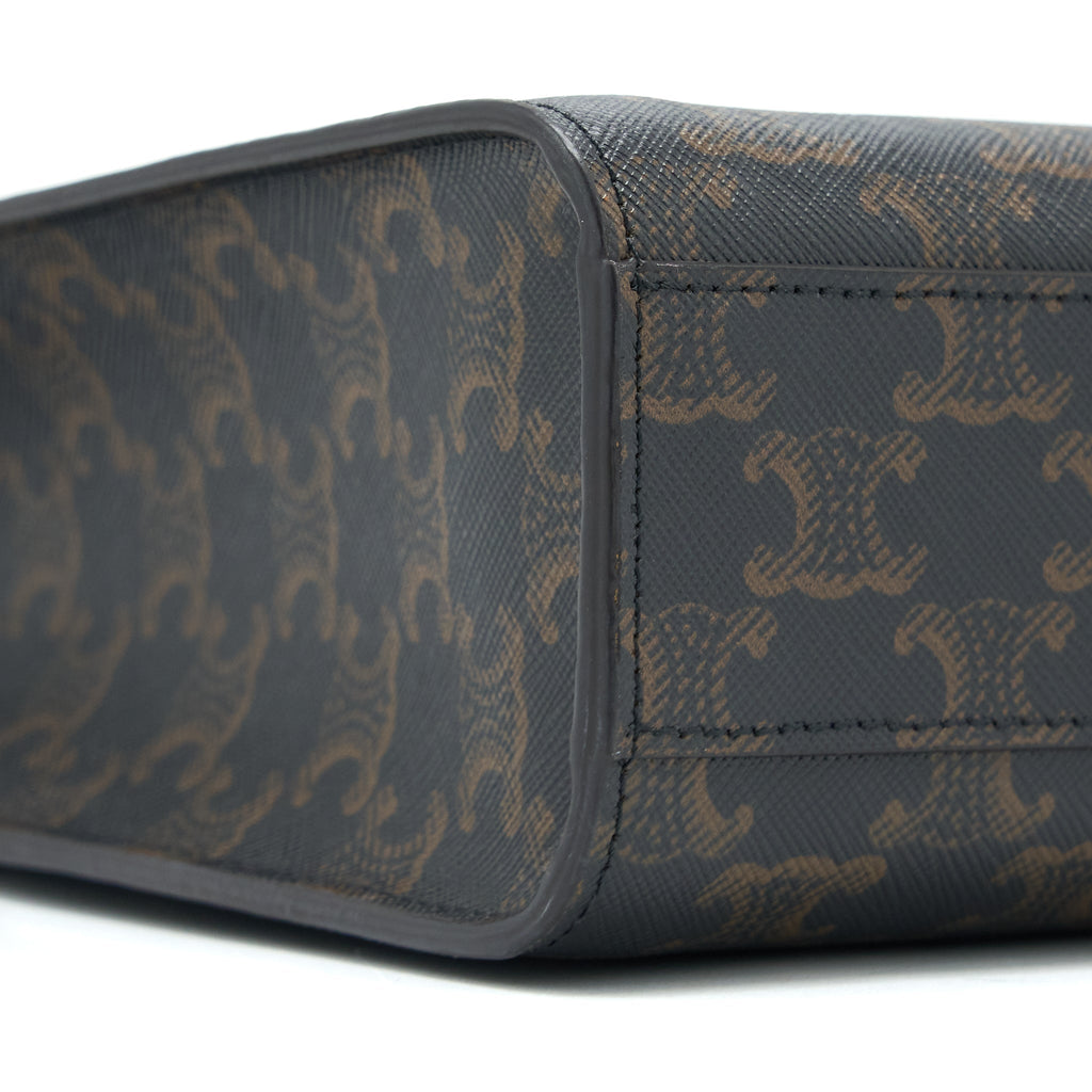 celine-vertical-cabas-triomphe-canvas-ghw-1